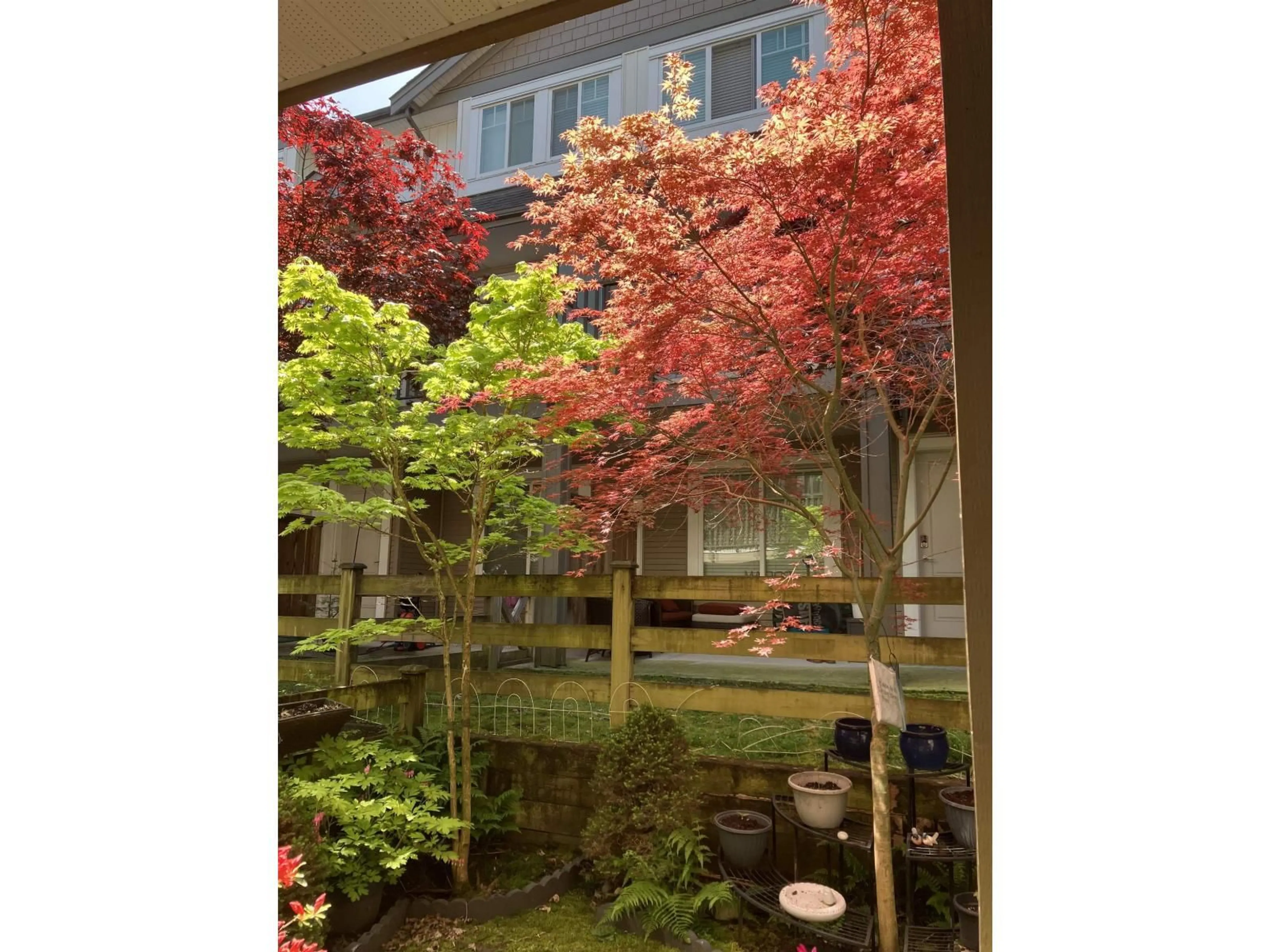 Patio, forest/trees view for 61 - 8250 209B, Langley British Columbia V2Y0J7