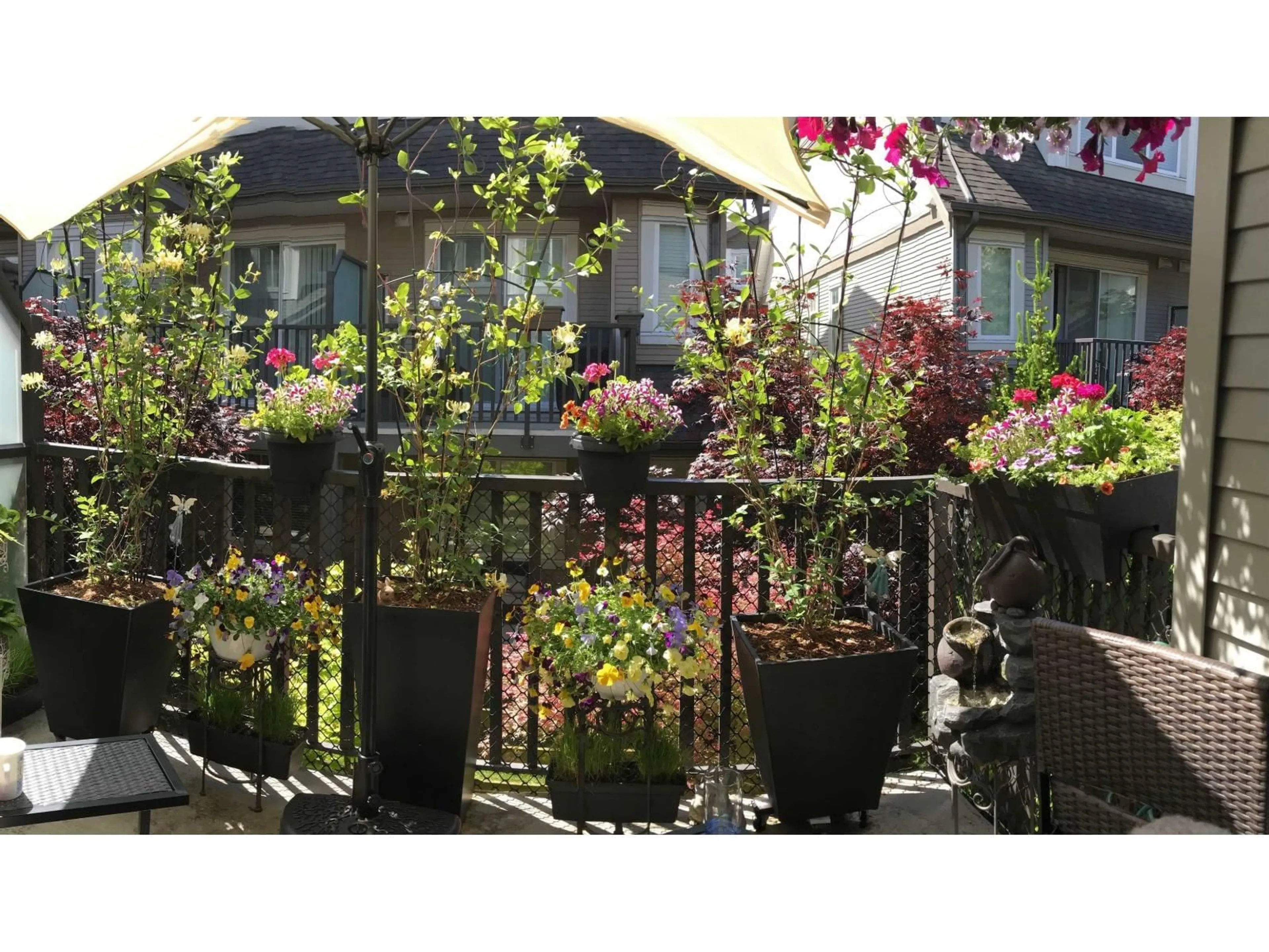 Patio, street for 61 - 8250 209B, Langley British Columbia V2Y0J7