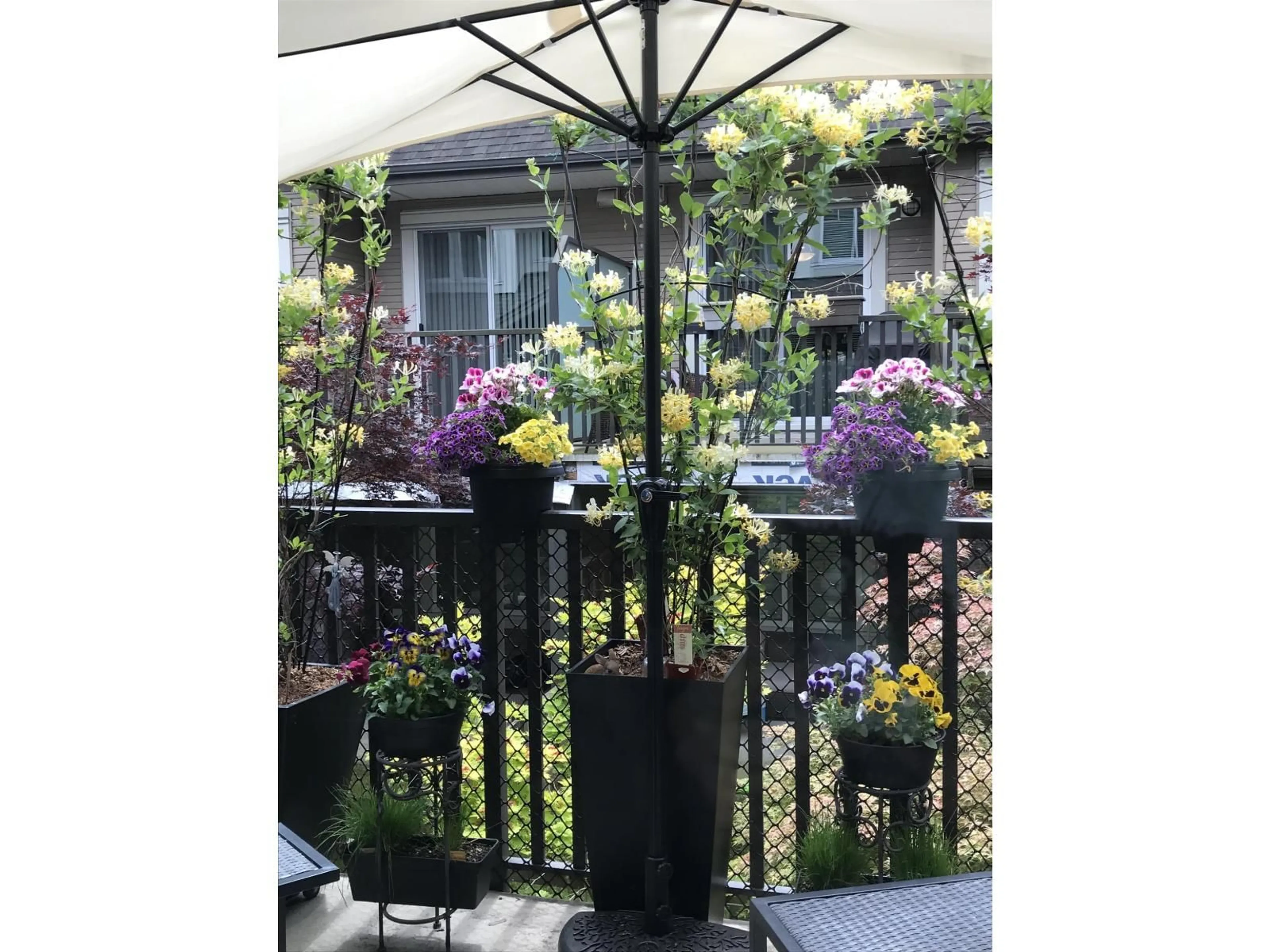 Patio, street for 61 - 8250 209B, Langley British Columbia V2Y0J7