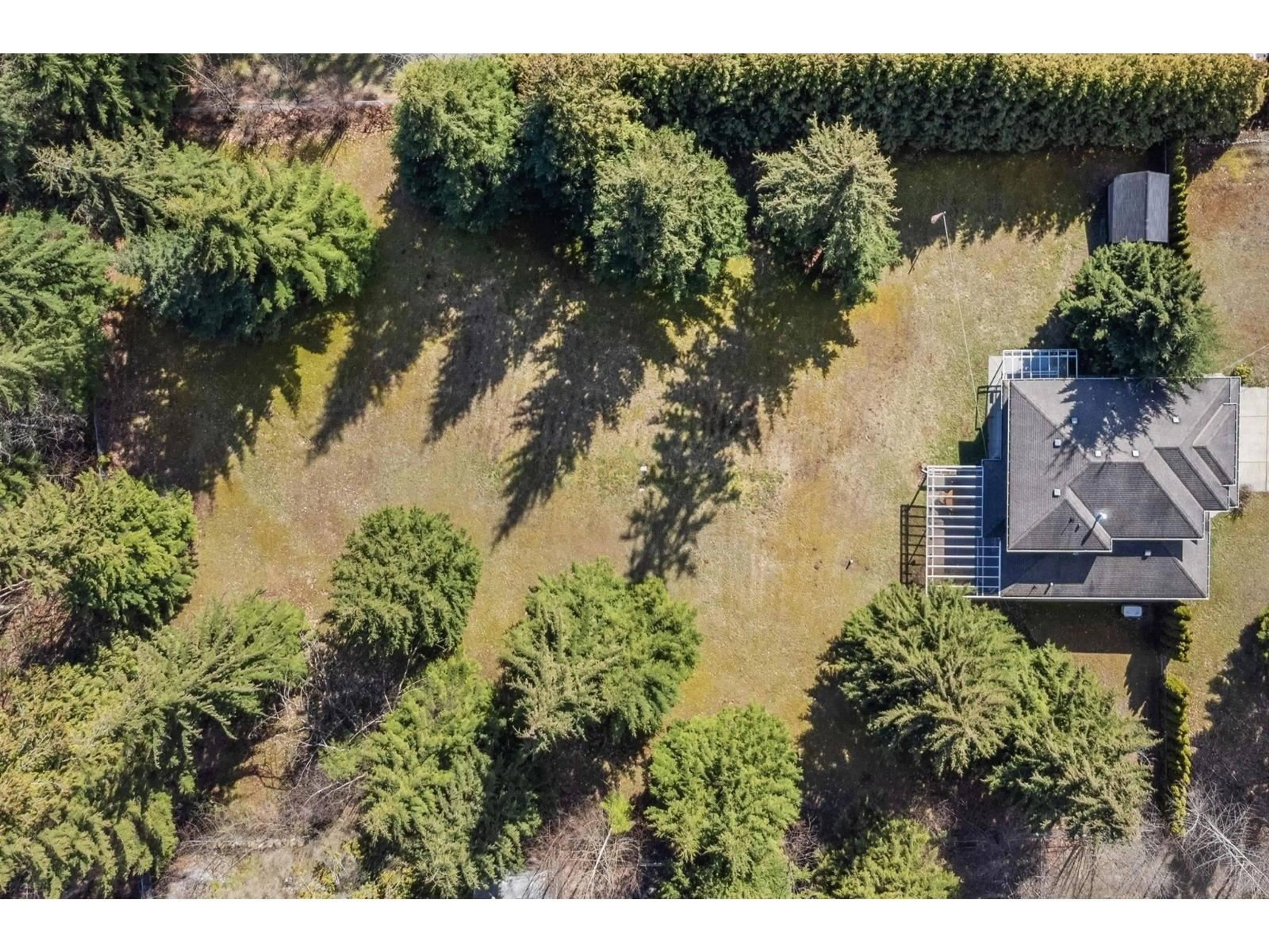 A pic from outside/outdoor area/front of a property/back of a property/a pic from drone, forest/trees view for 9780 CEDAR, Mission British Columbia V2V7E7