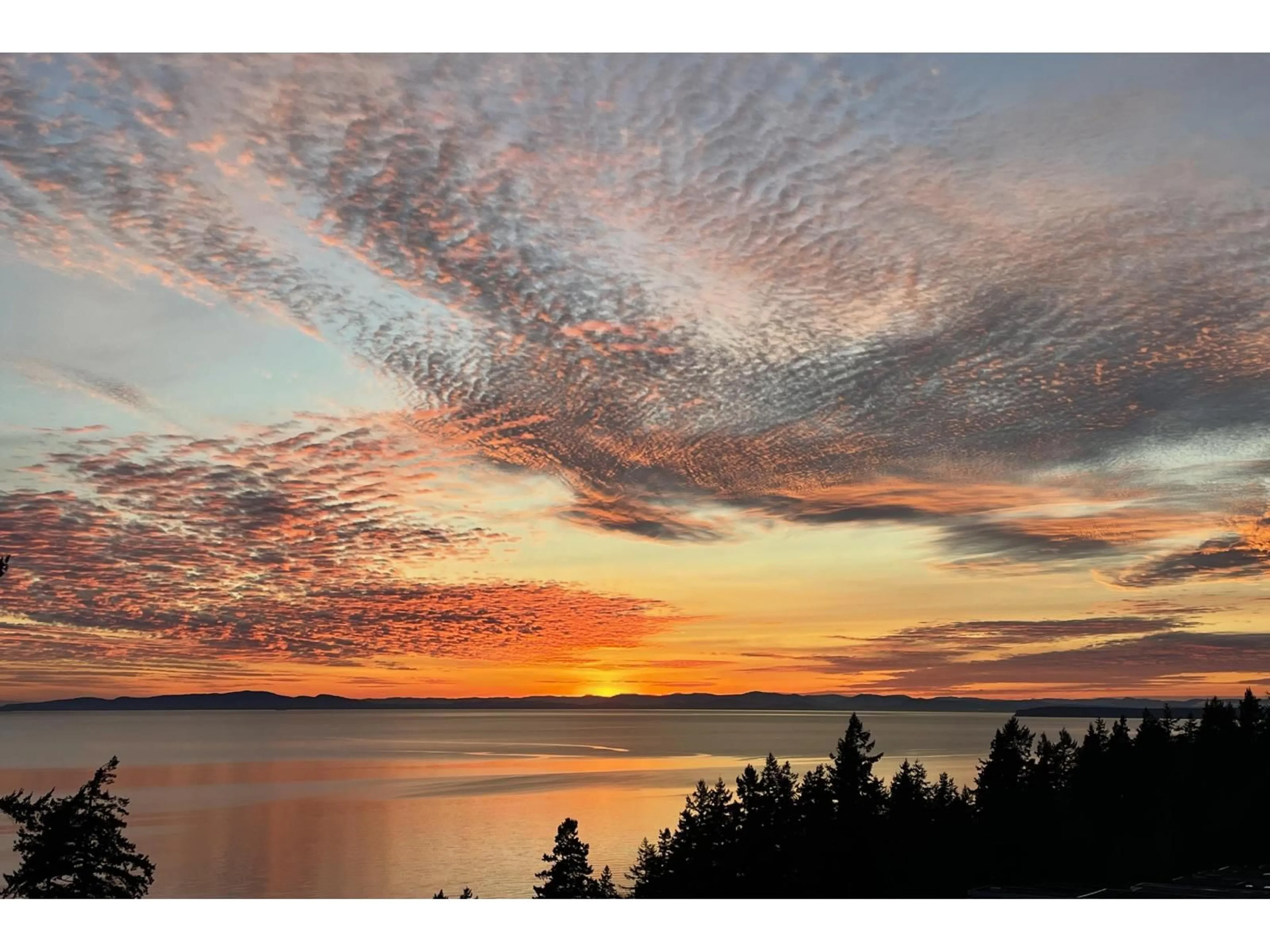 Blurry image for 602 - 14825 THRIFT, White Rock British Columbia V4B2J6