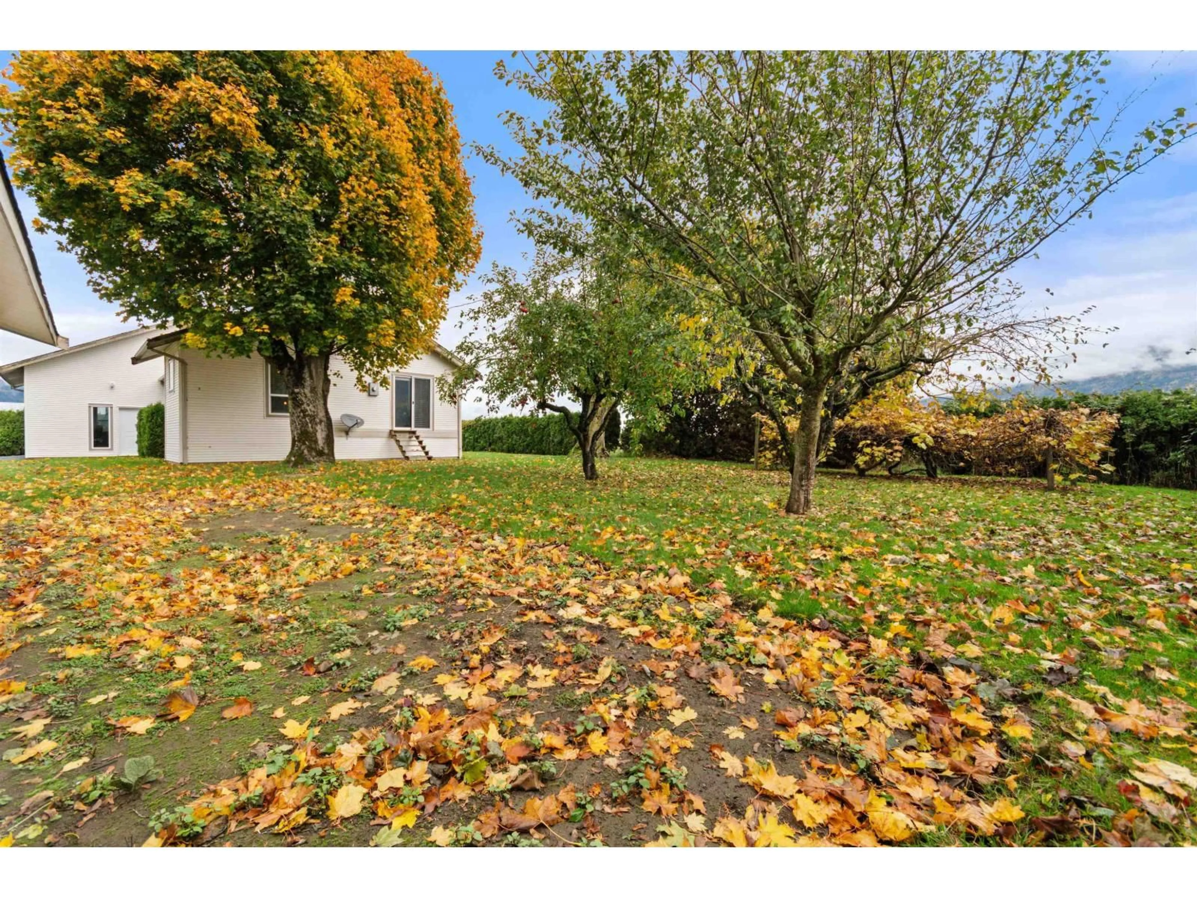 A pic from outside/outdoor area/front of a property/back of a property/a pic from drone, street for 39965 NO. 5 ROAD, Abbotsford British Columbia V3G2G3