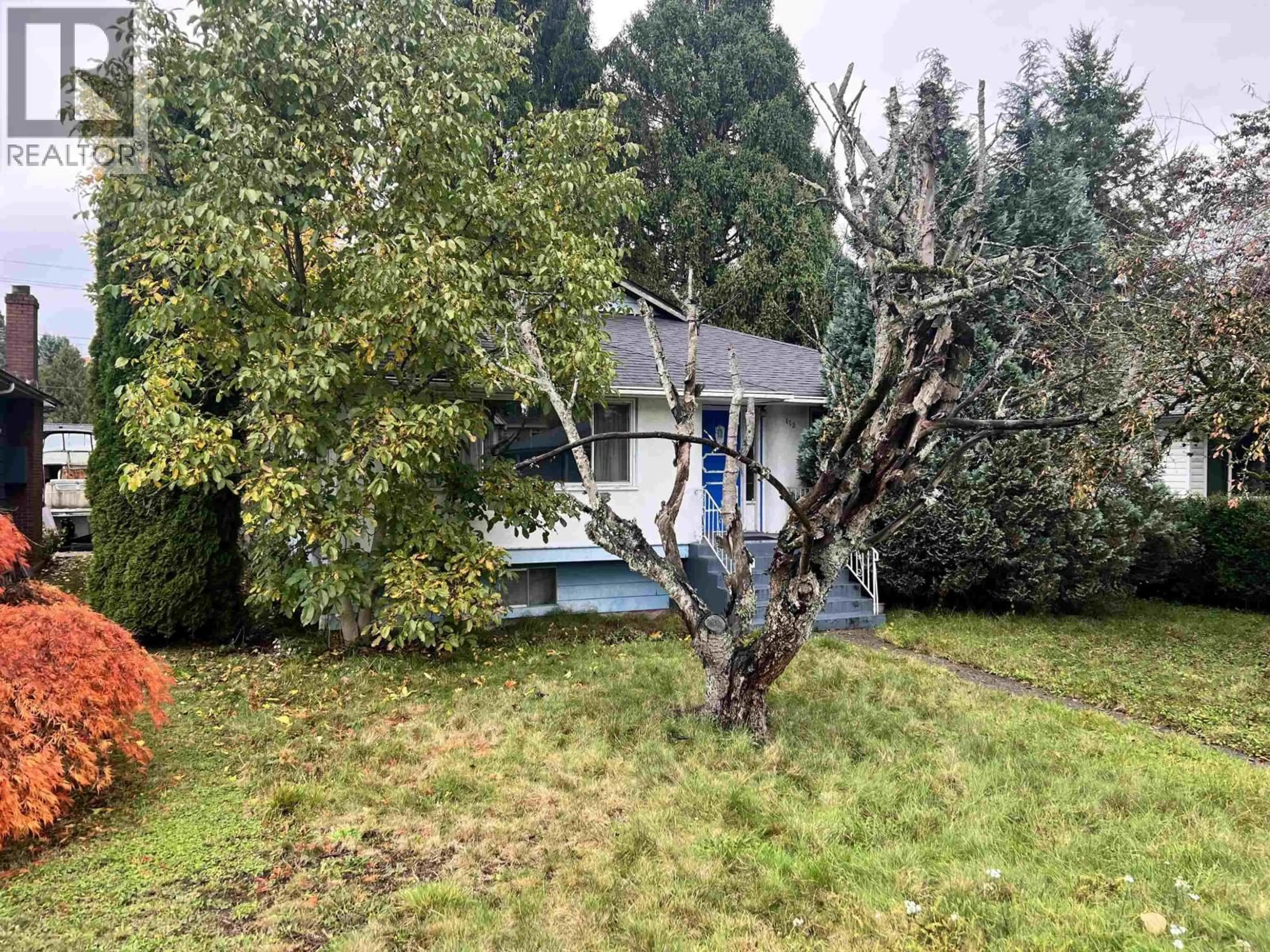 A pic from outside/outdoor area/front of a property/back of a property/a pic from drone, forest/trees view for 113 OVENS AVENUE, New Westminster British Columbia V3L1Z1