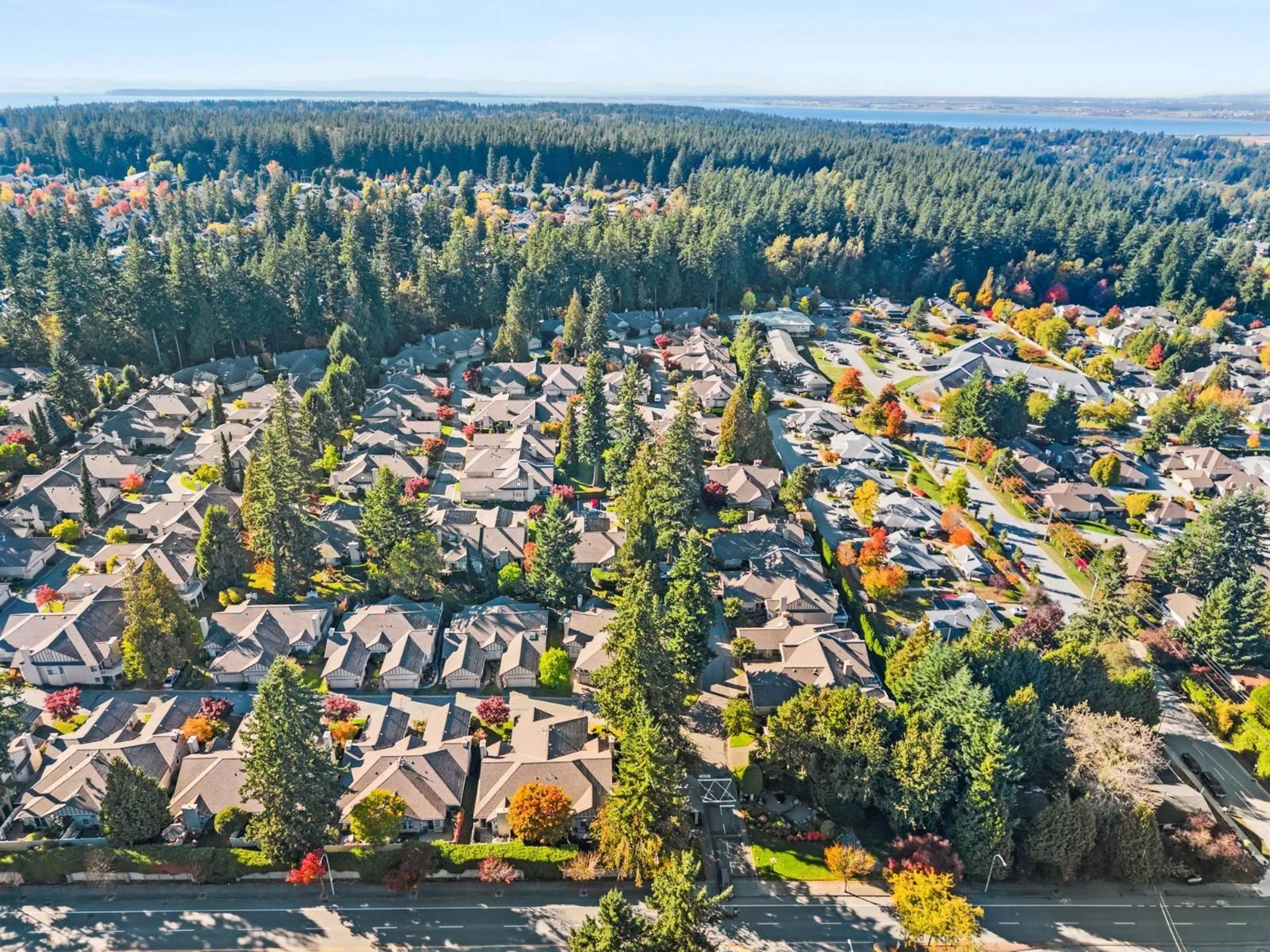 A pic from outside/outdoor area/front of a property/back of a property/a pic from drone, forest/trees view for 72 - 2533 152, Surrey British Columbia V4P1N4