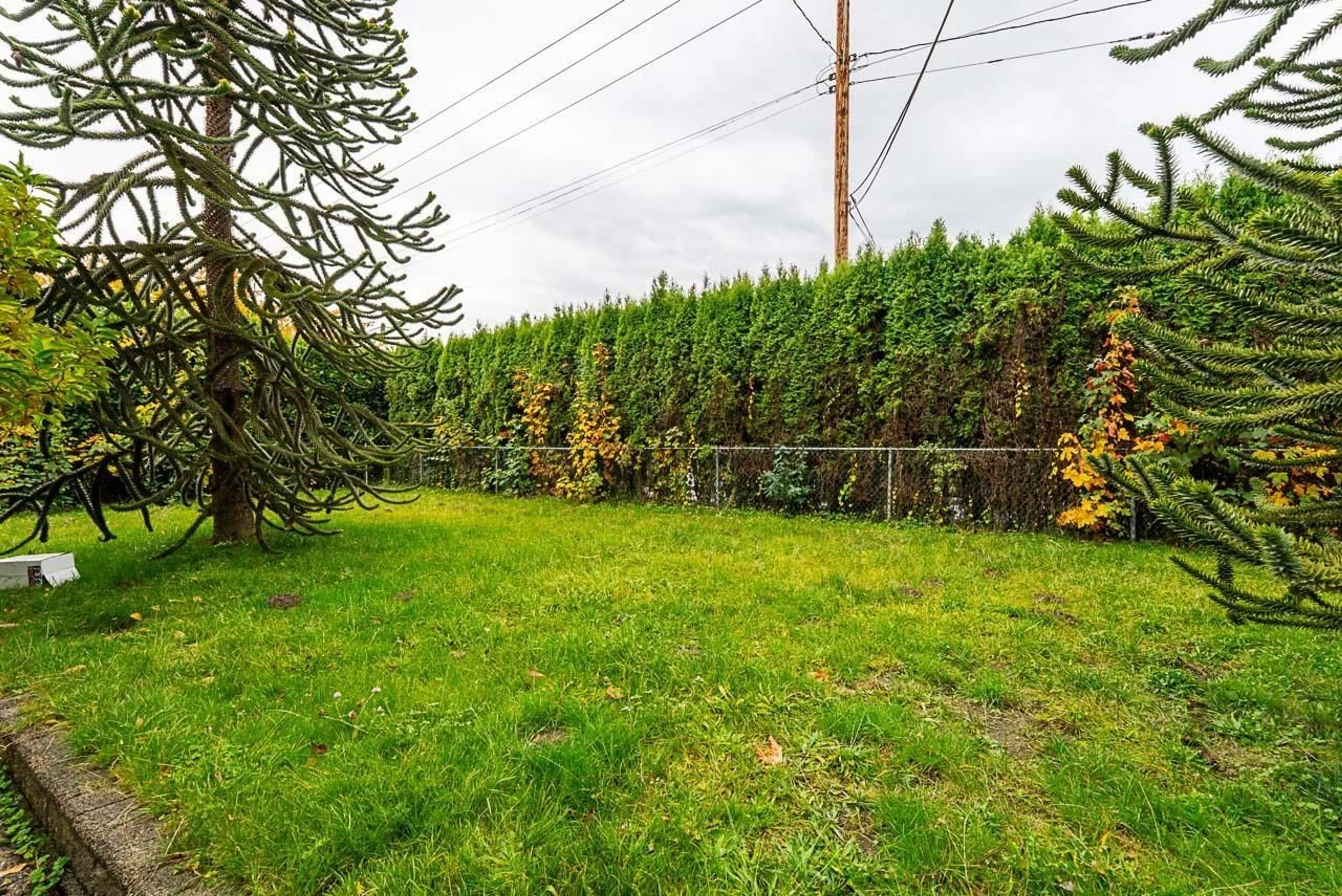 Patio, forest/trees view for 21355 OLD YALE, Langley British Columbia V3A4M6