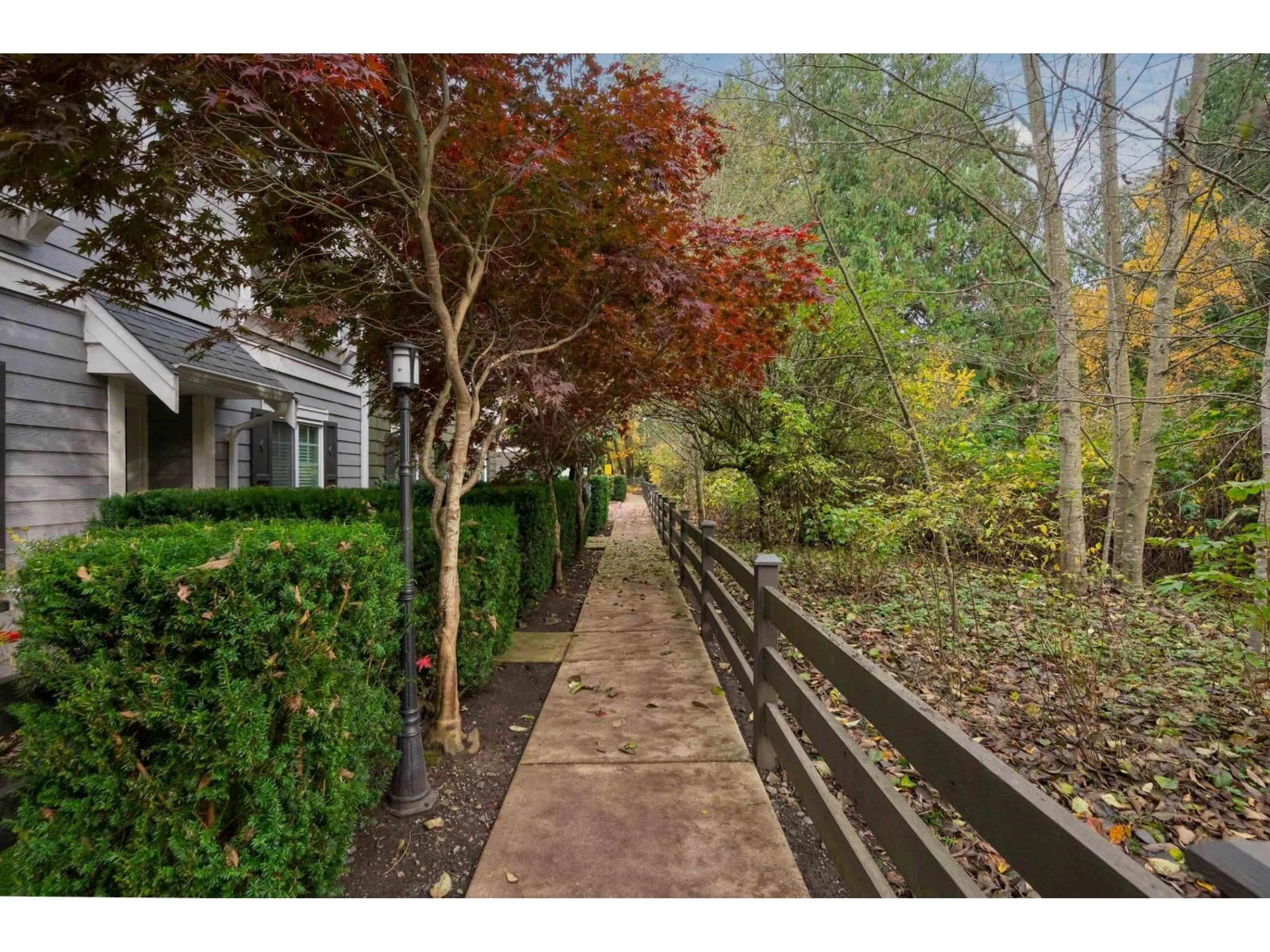 Patio, street for 50 - 288 171, Surrey British Columbia V3Z9P5