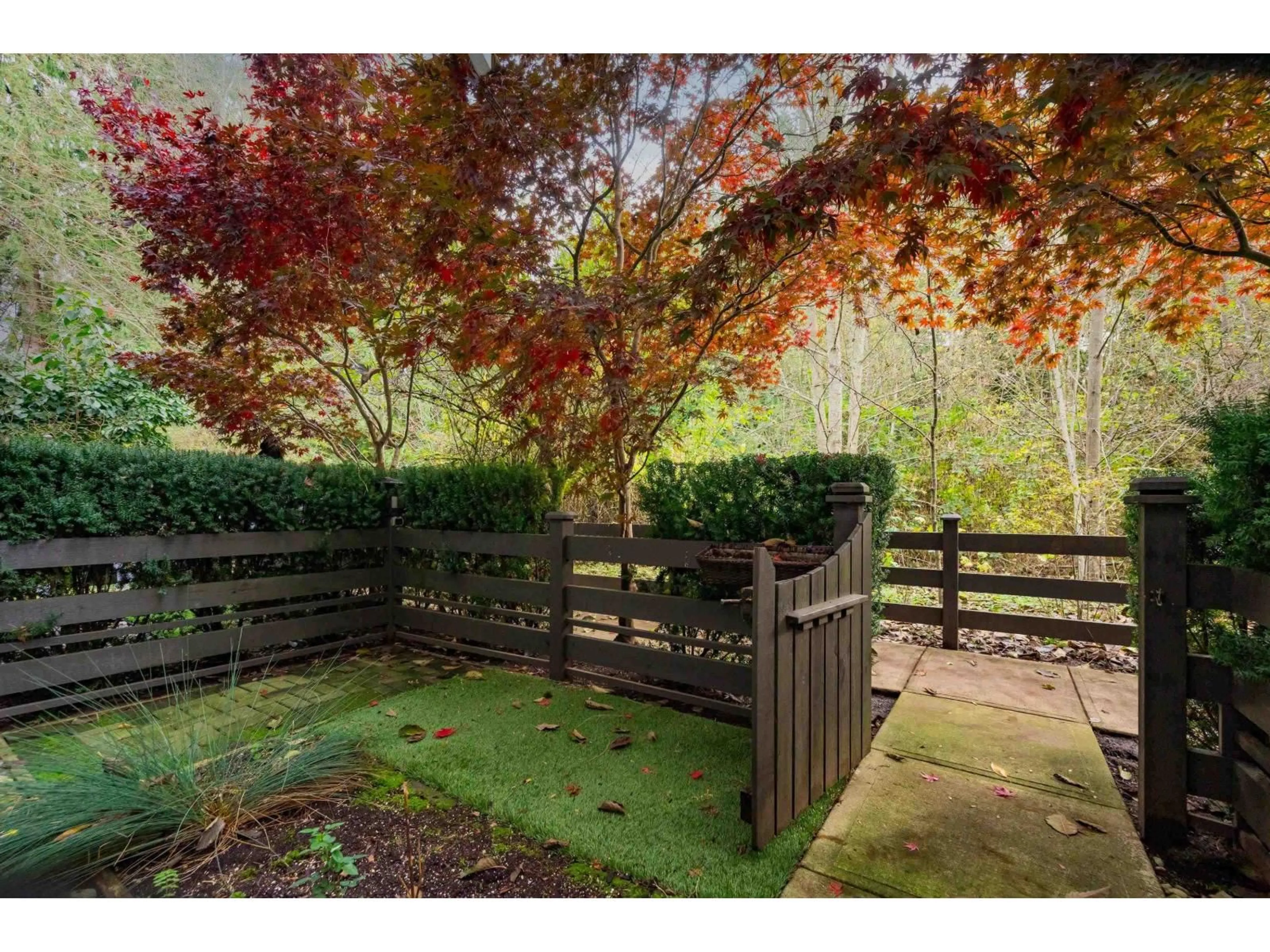 Unknown for 50 - 288 171, Surrey British Columbia V3Z9P5