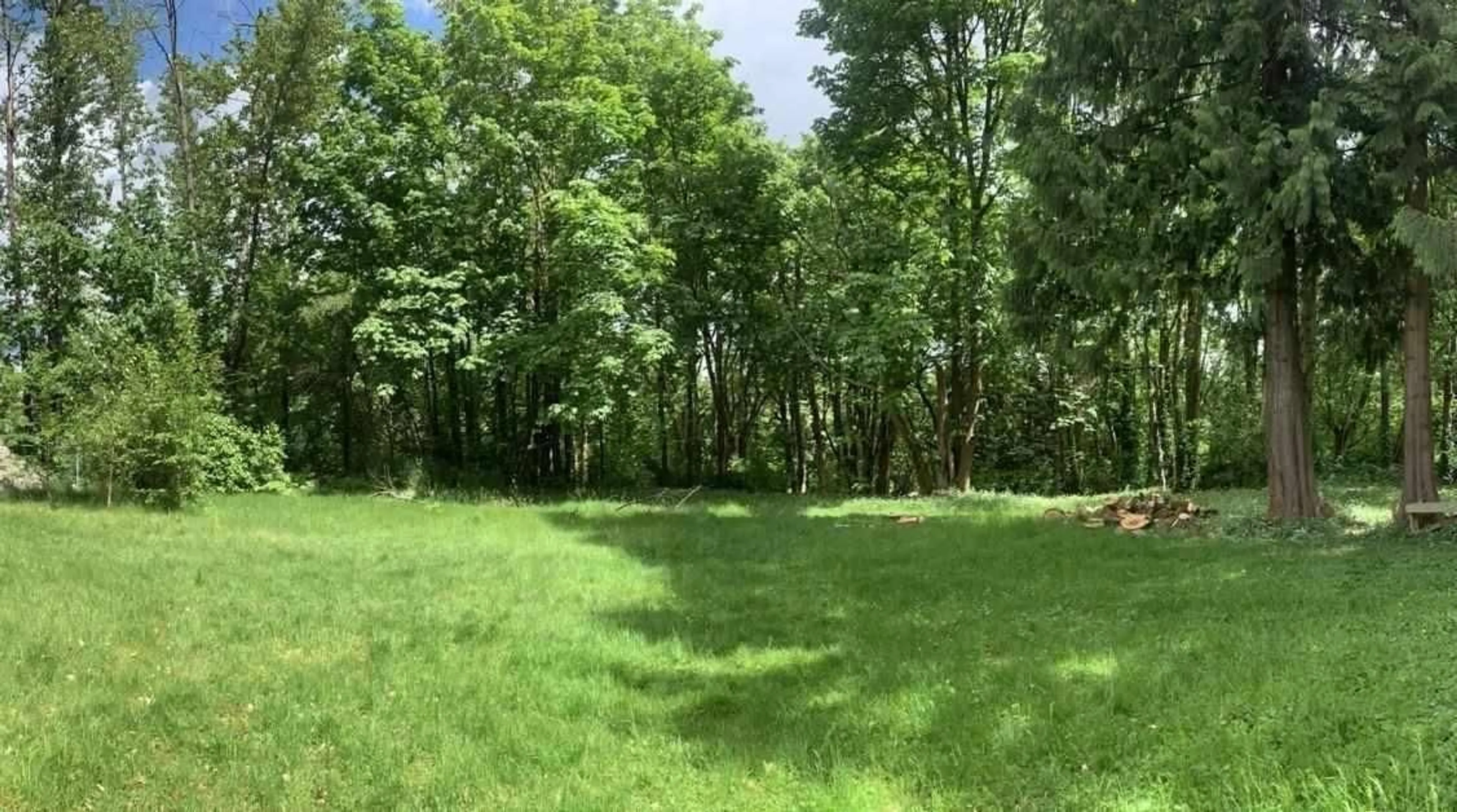 A pic from outside/outdoor area/front of a property/back of a property/a pic from drone, forest/trees view for 10610 SALISBURY, Surrey British Columbia V4N1N1
