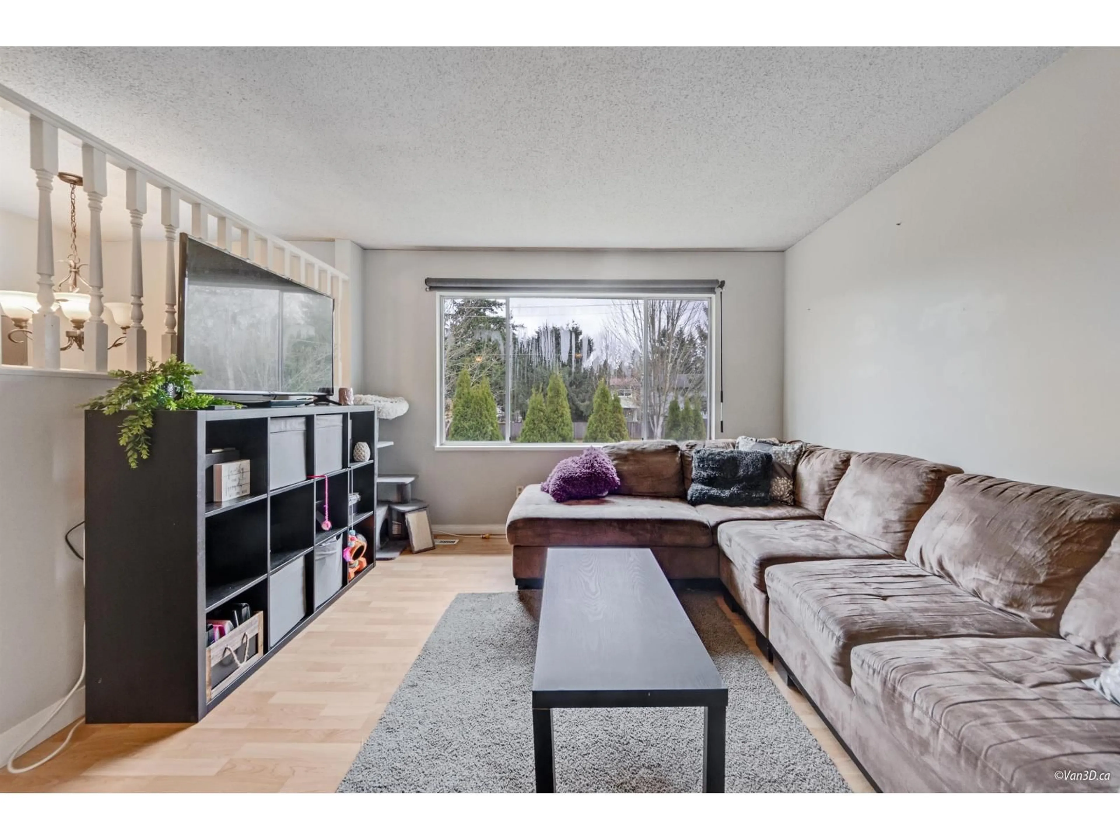 Living room with furniture, wood/laminate floor for 5009 208, Langley British Columbia V3A7A2