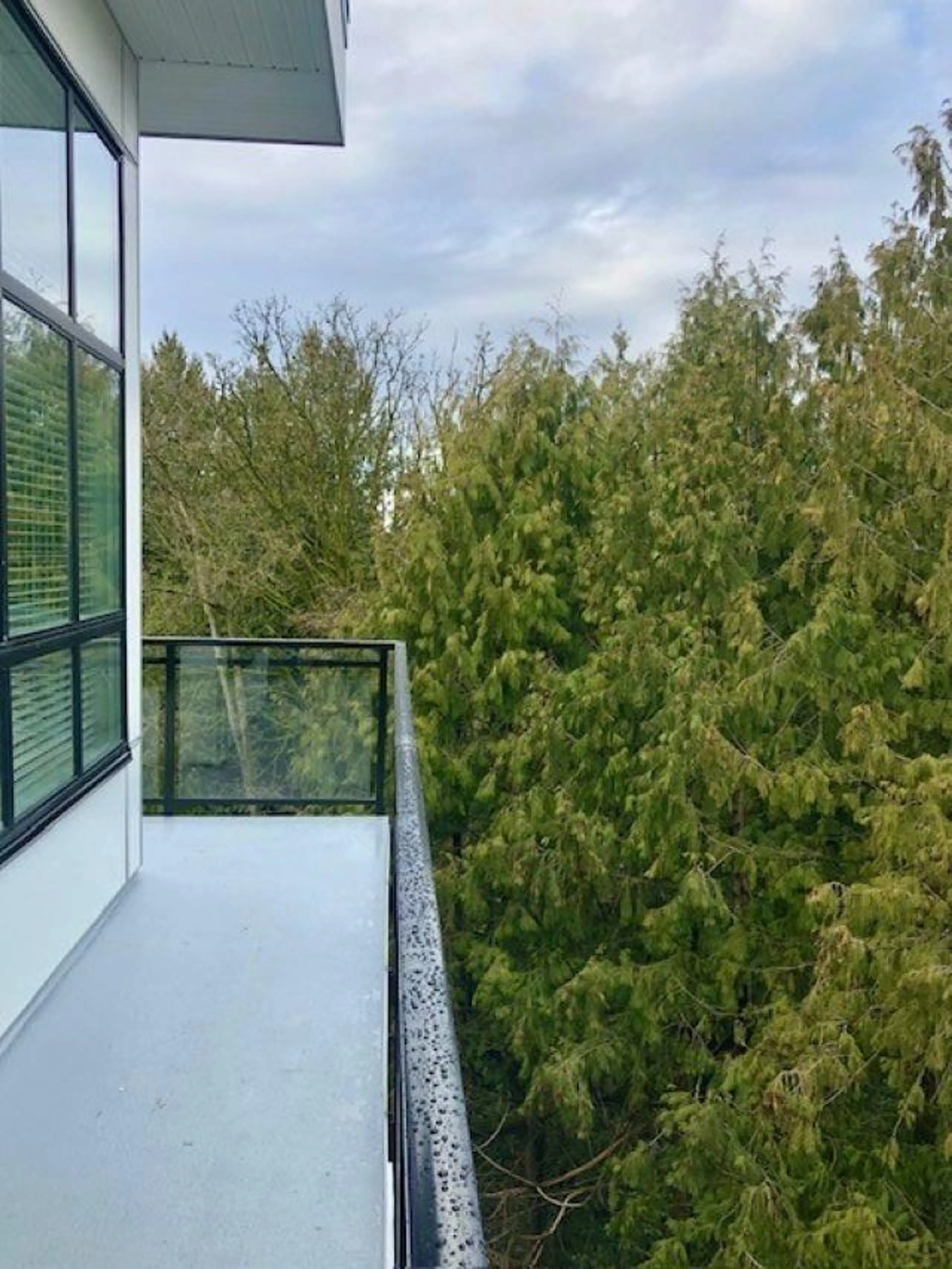 Balcony in the apartment, forest/trees view for 503 - 5485 BRYDON CRESCENT, Langley British Columbia V3A0N5