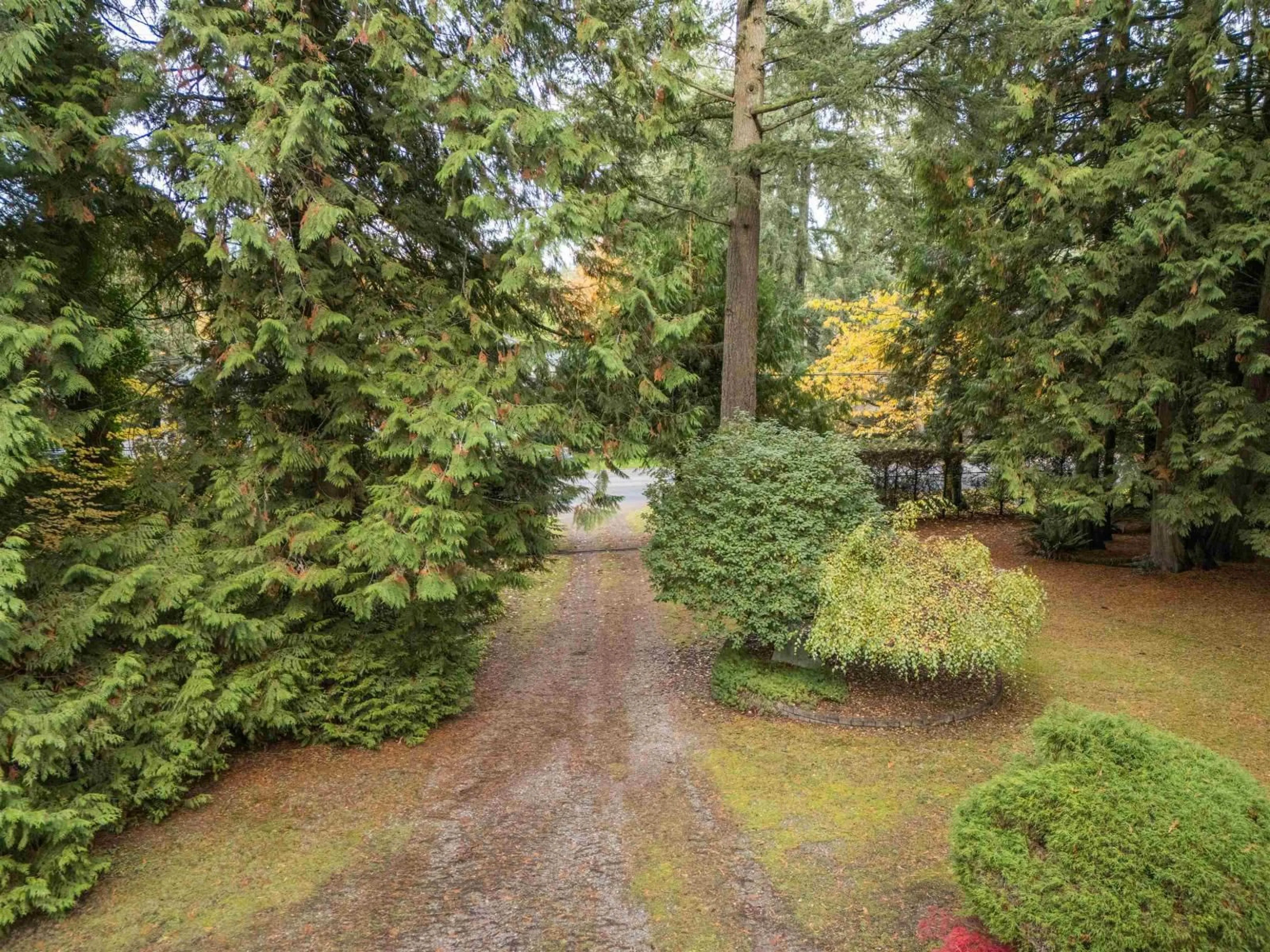 A pic from outside/outdoor area/front of a property/back of a property/a pic from drone, forest/trees view for 13912 28, Surrey British Columbia V4P1T4