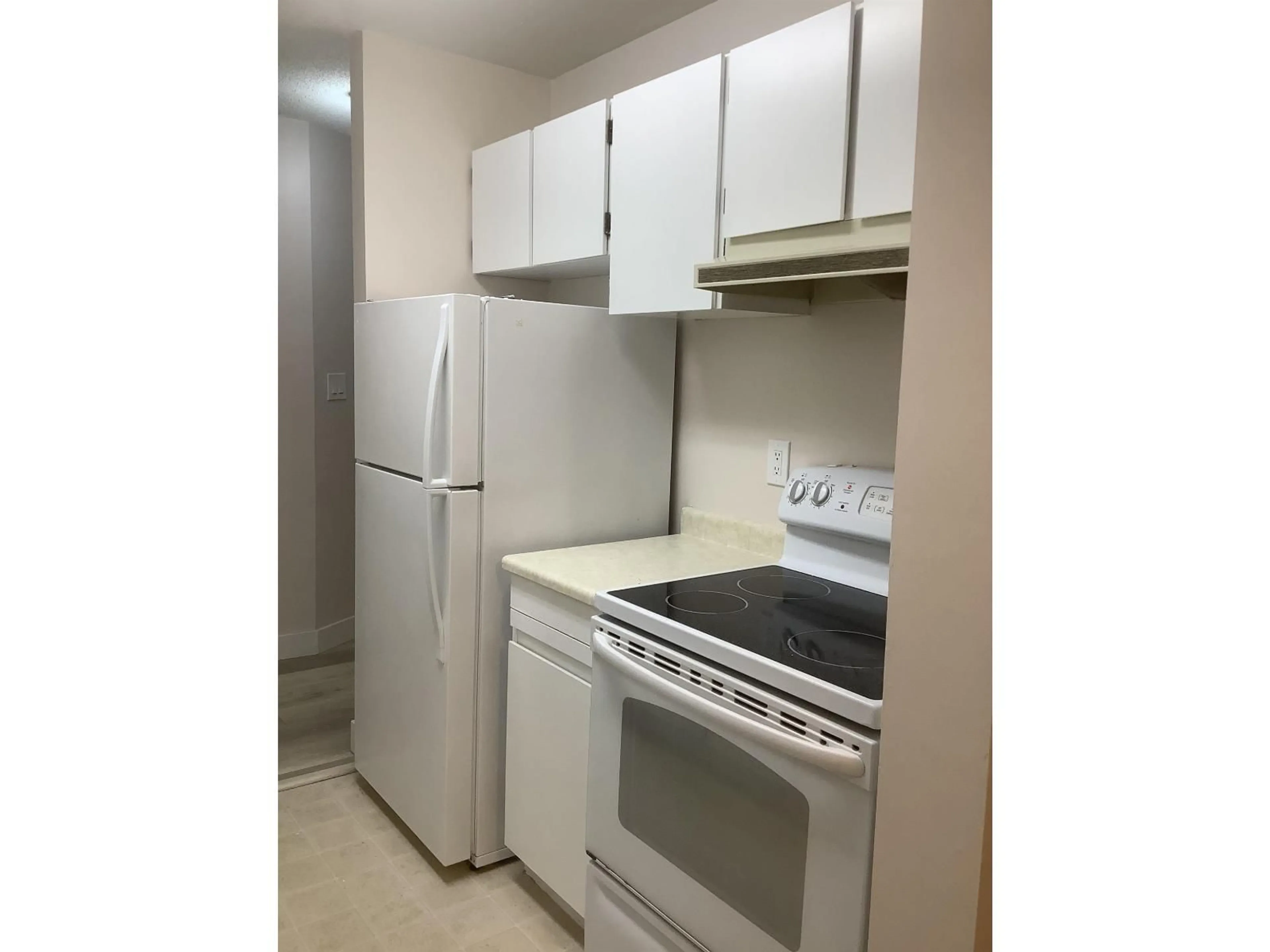 Standard kitchen, unknown for 223 - 1850 SOUTHMERE CRESCENT EAST, Surrey British Columbia V4A6Y6