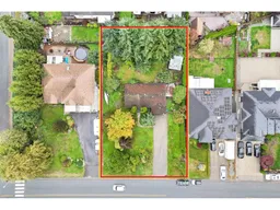 history photo preview