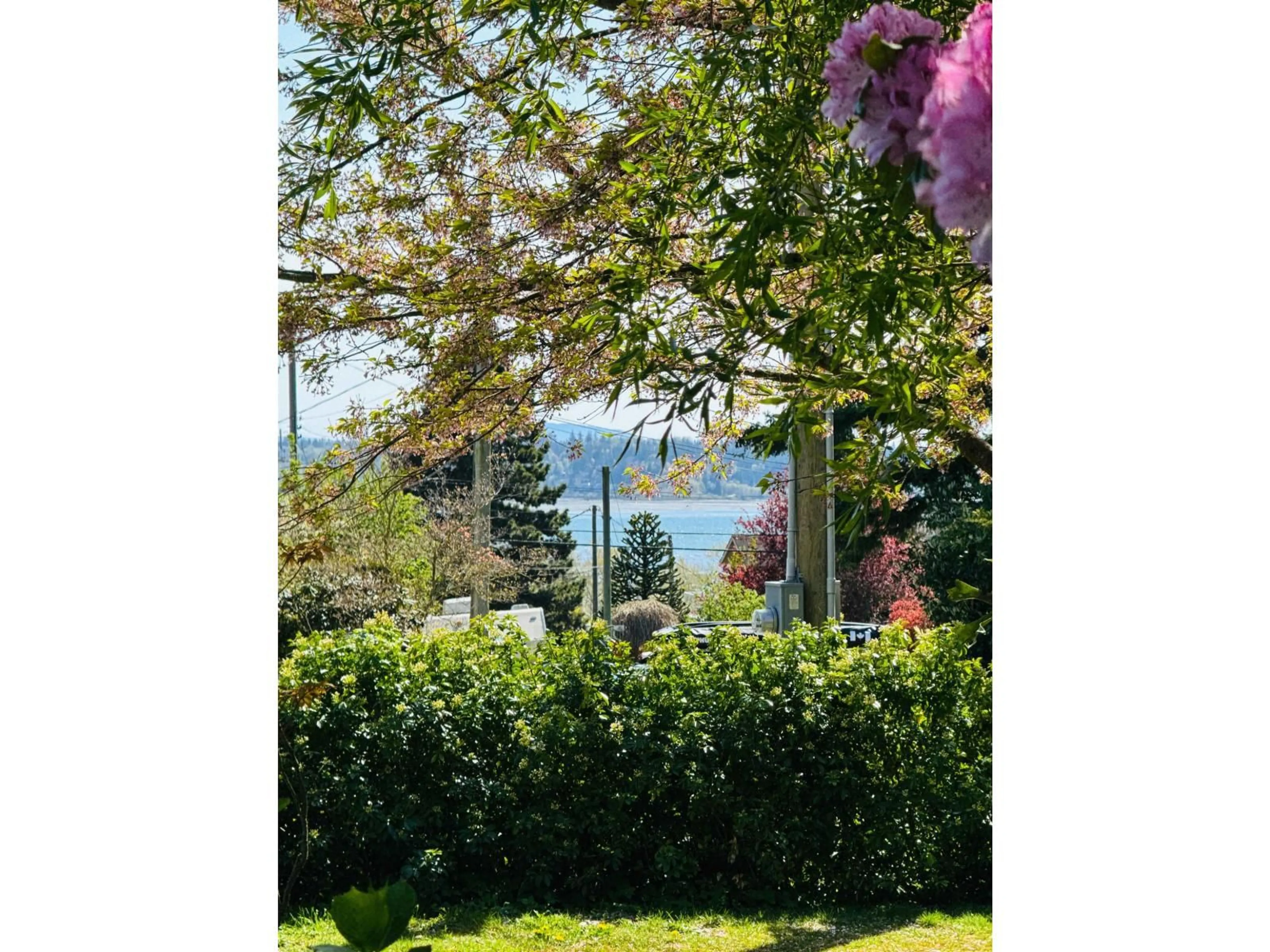 Unknown for 1056 STEVENS, White Rock British Columbia V4B4X7