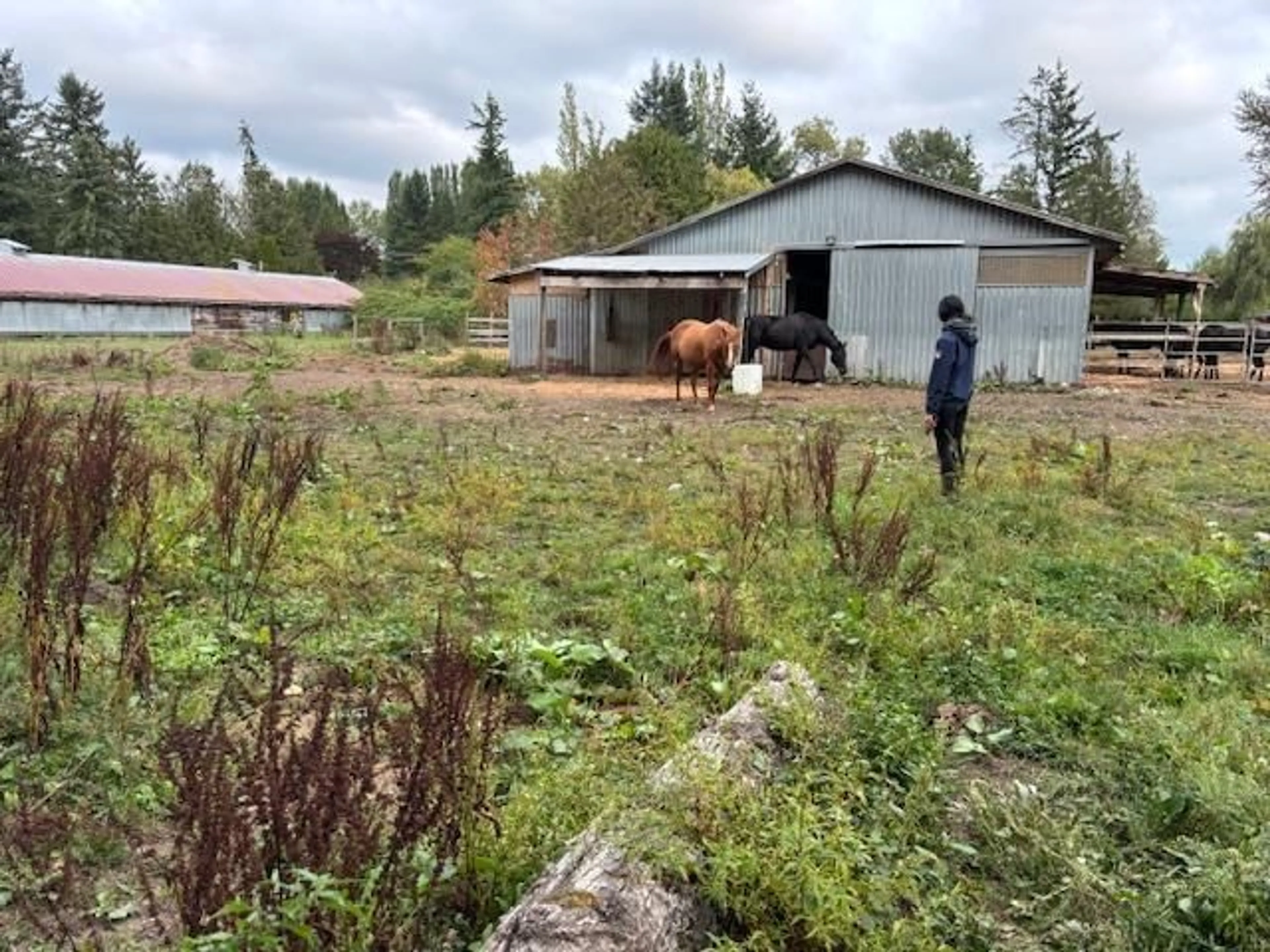 Shed for 2617 208, Langley British Columbia V2Z2B1