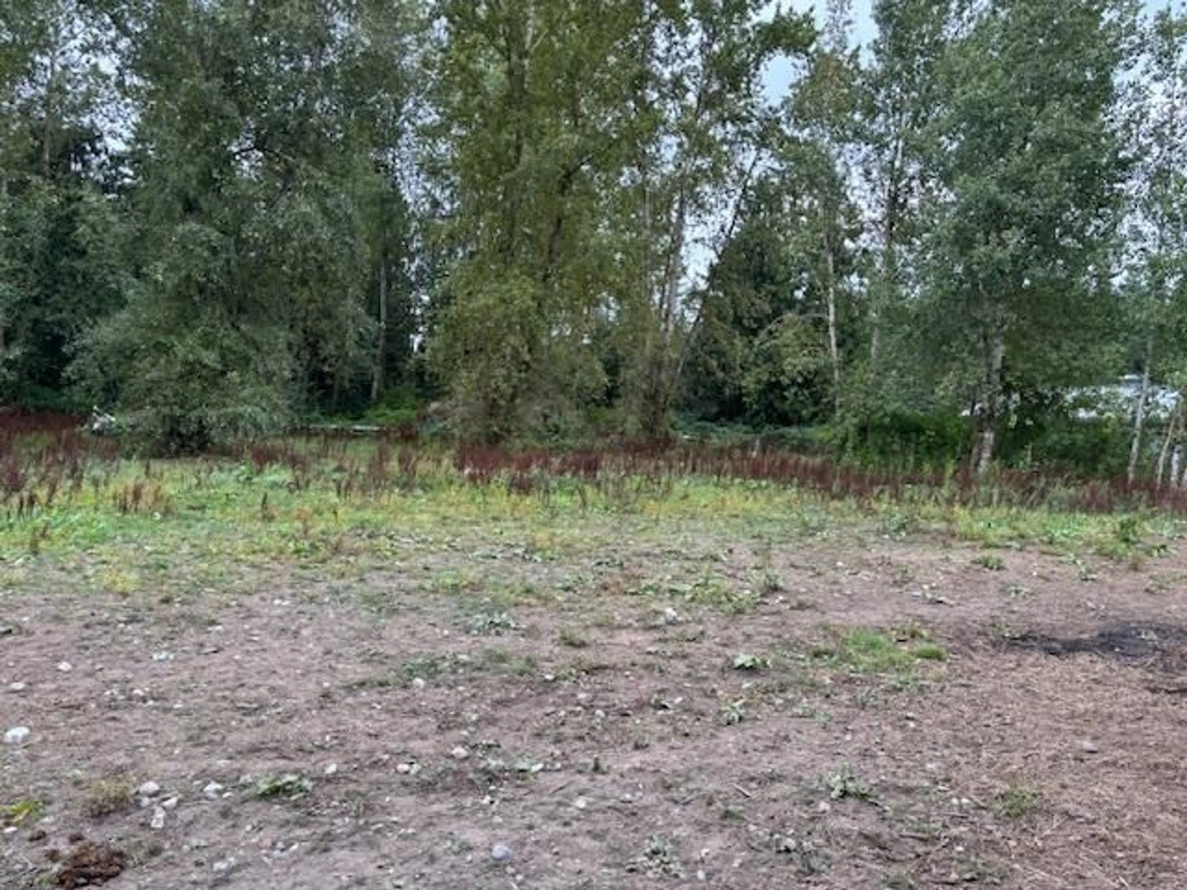 A pic from outside/outdoor area/front of a property/back of a property/a pic from drone, forest/trees view for 2617 208, Langley British Columbia V2Z2B1