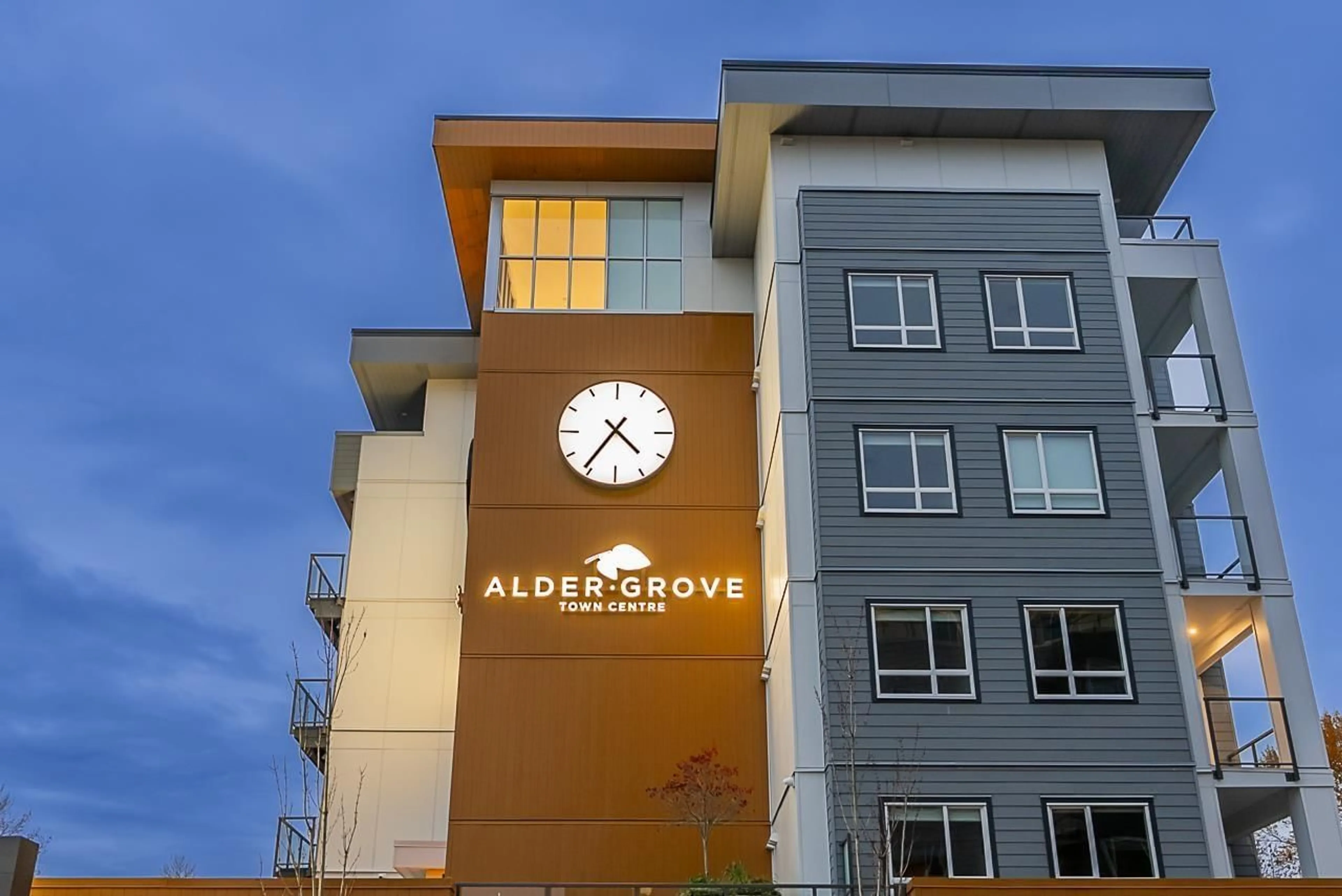 Indoor foyer for 306 - 27215 ALDERGROVE TOWN CENTRE, Langley British Columbia V4W0E4
