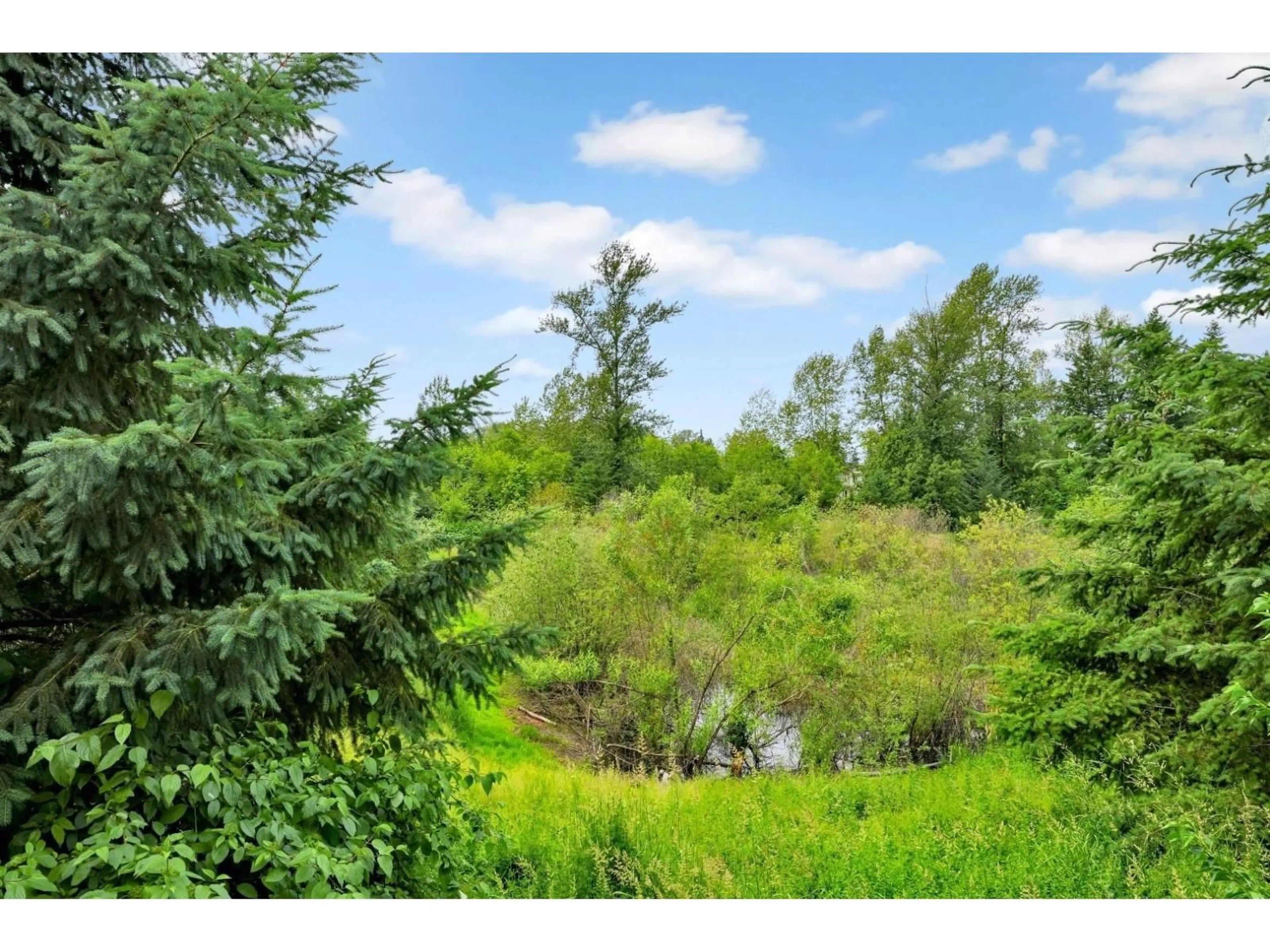 A pic from outside/outdoor area/front of a property/back of a property/a pic from drone, forest/trees view for 8 - 7937 206 STREET, Langley British Columbia V2Y3T6