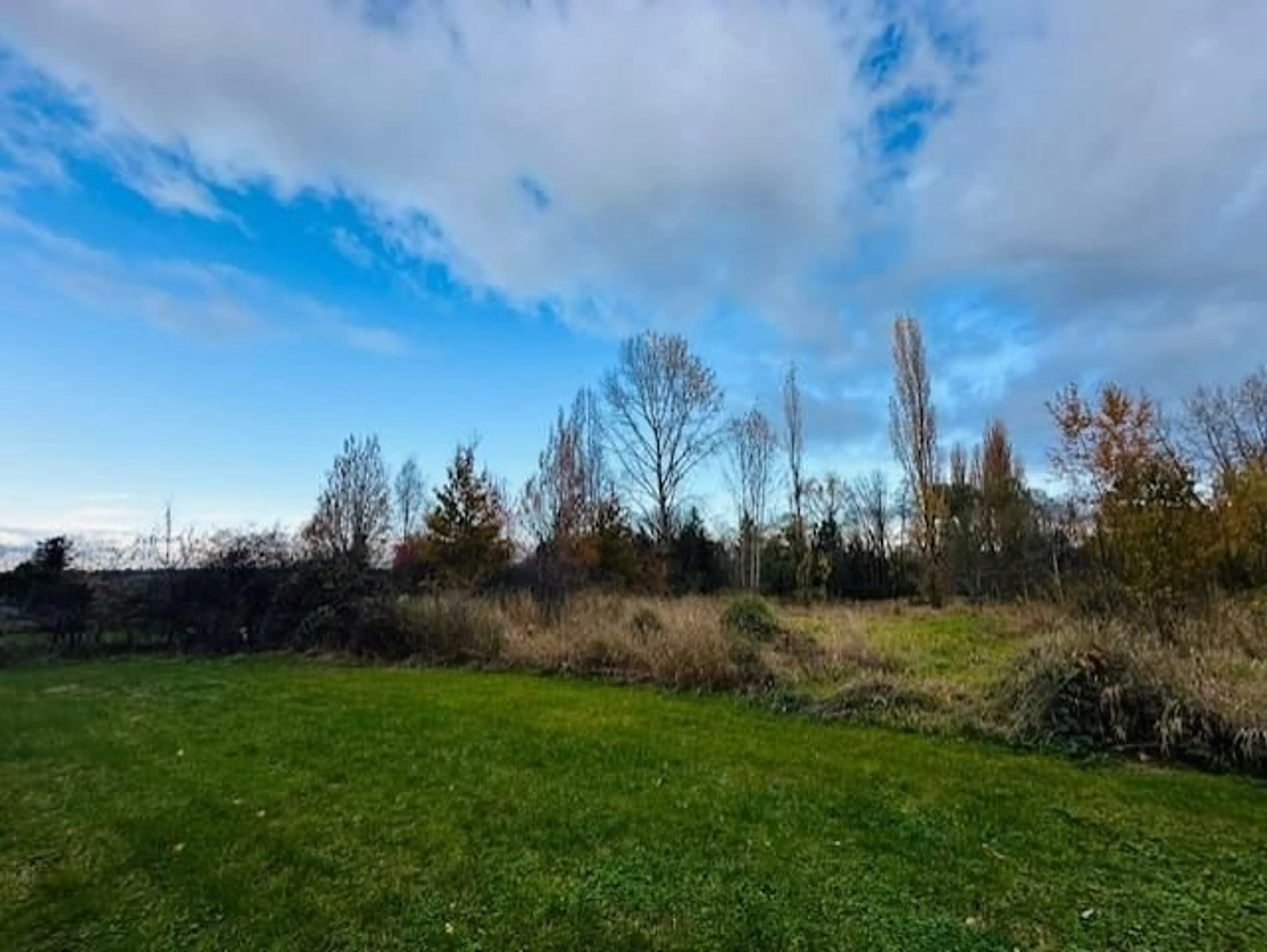 A pic from outside/outdoor area/front of a property/back of a property/a pic from drone, forest/trees view for 18351 74, Surrey British Columbia V4N6C1
