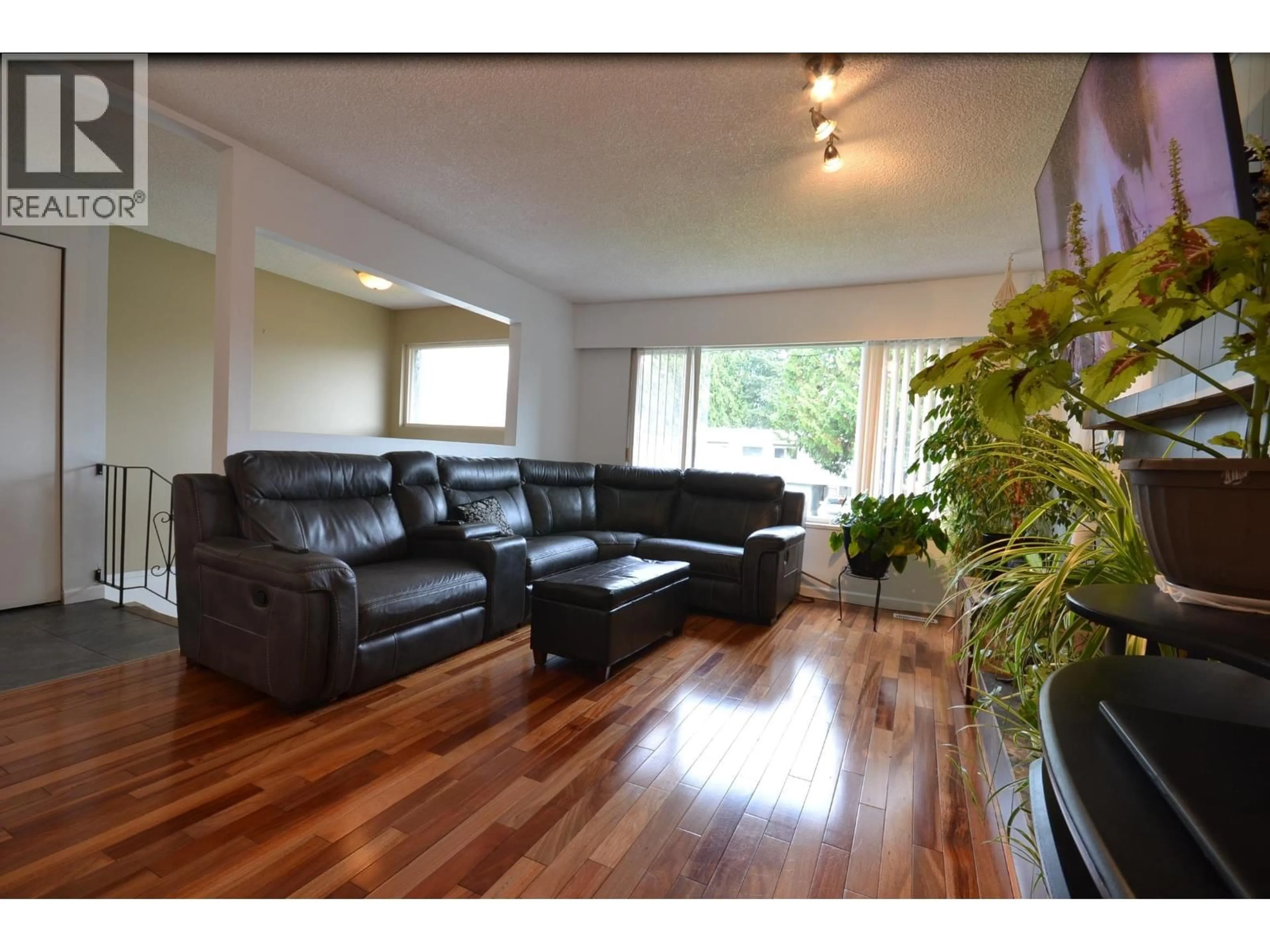 Living room with furniture, wood/laminate floor for 11717 209 STREET, Maple Ridge British Columbia V2X7S6