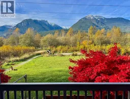 history photo preview