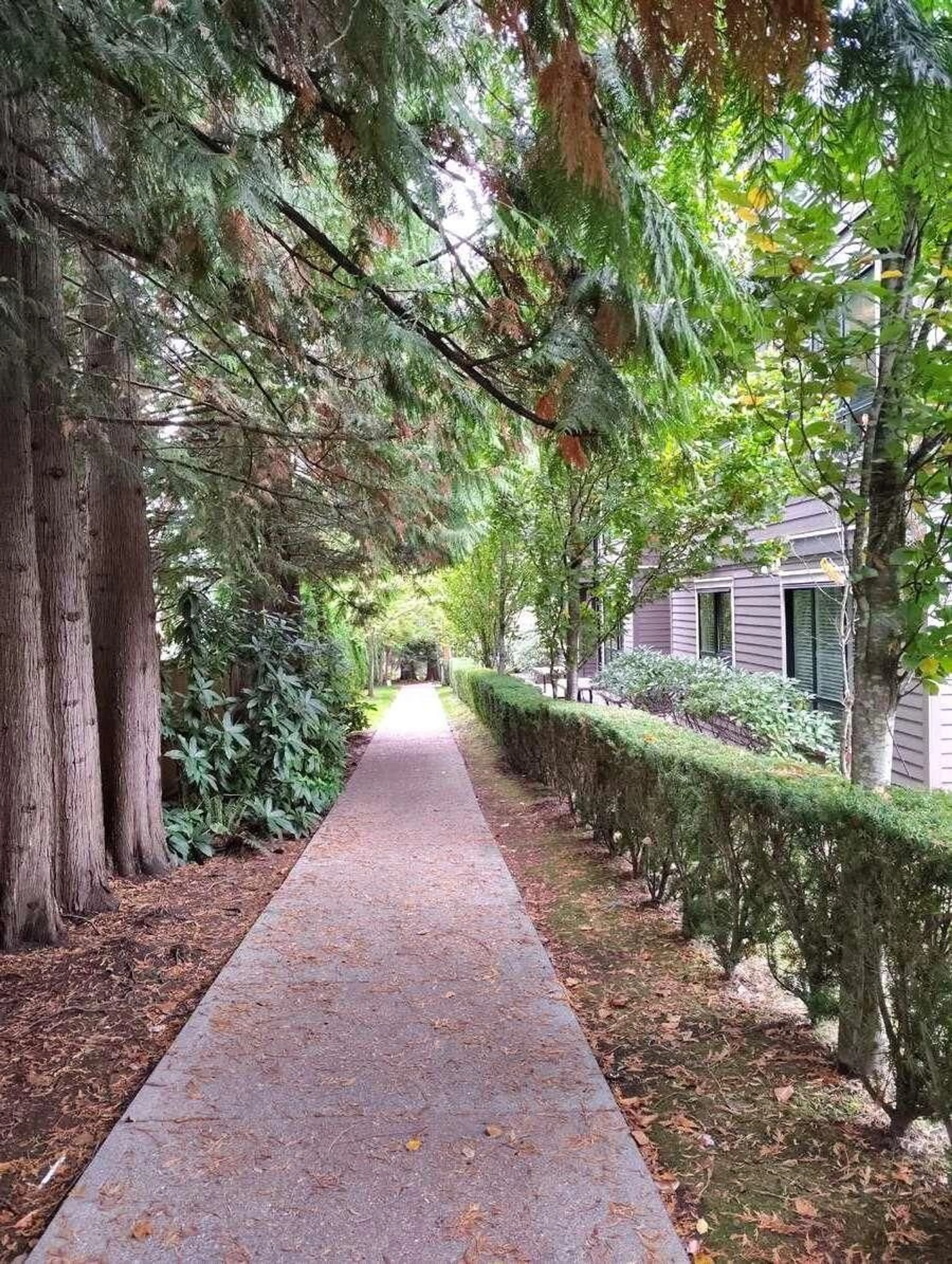 Unknown for 205 - 15388 105, Surrey British Columbia V3R0C4