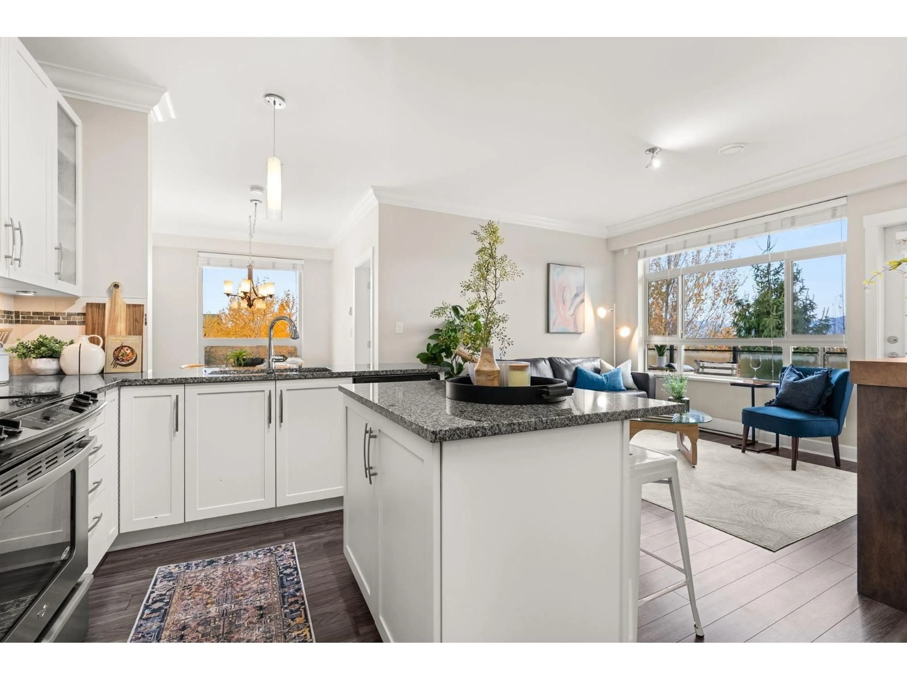 Open concept kitchen, unknown for 319 - 20861 83 AVENUE, Langley British Columbia V2Y2C4