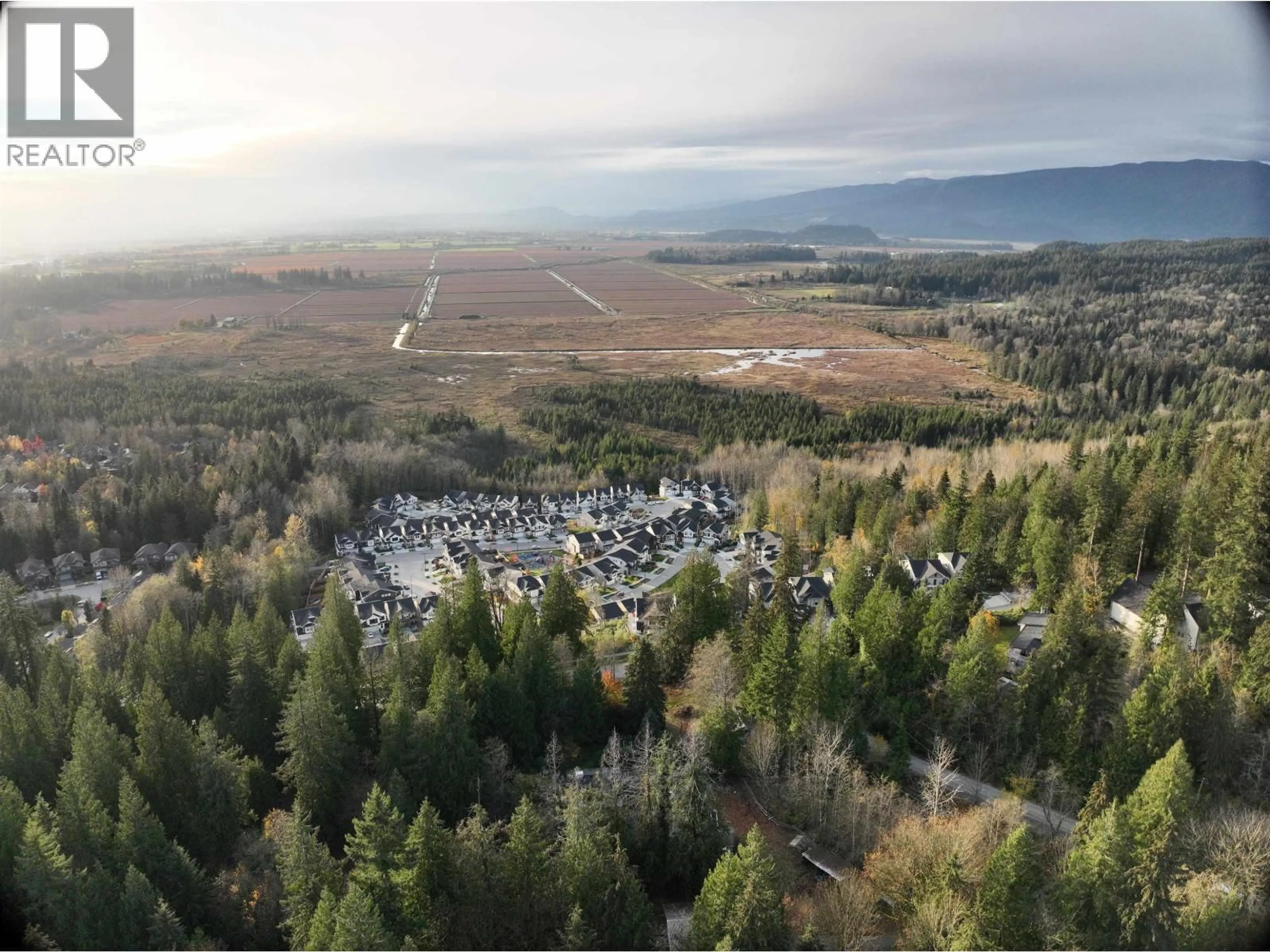 A pic from outside/outdoor area/front of a property/back of a property/a pic from drone, forest/trees view for 14042 232 STREET, Maple Ridge British Columbia V4R2G5