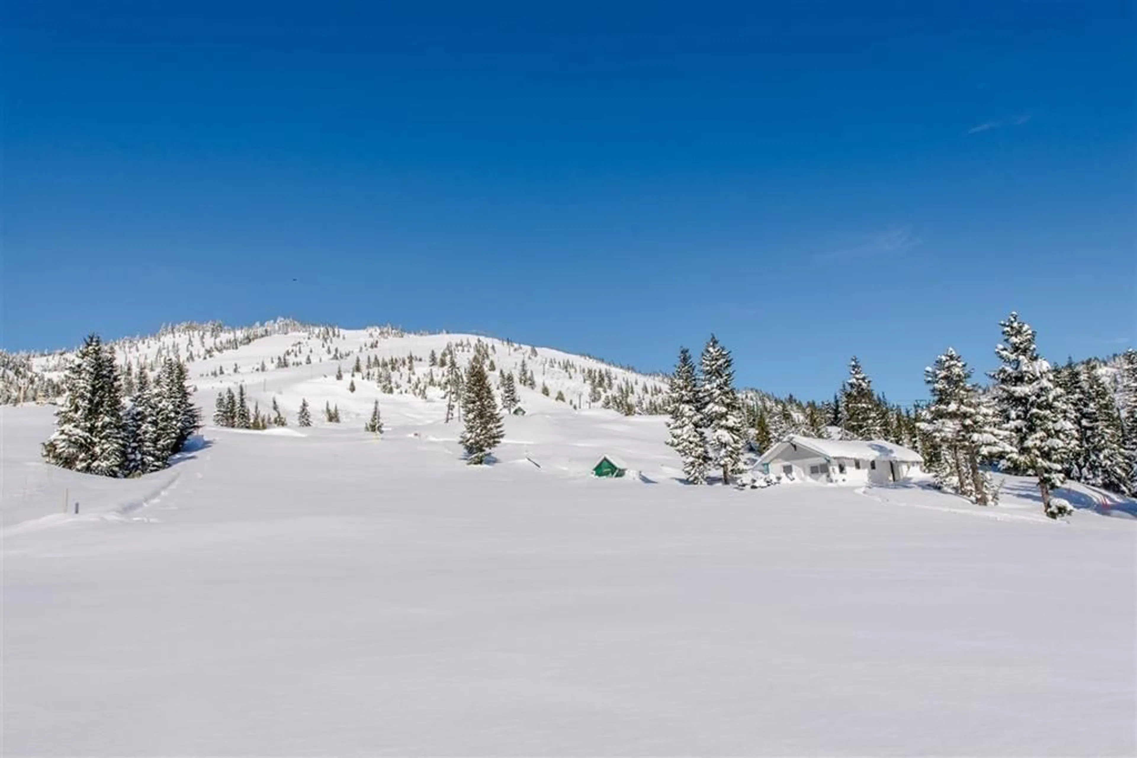 Unknown for 203B - 21000 ENZIAN WAY, Mission British Columbia V0M1A1