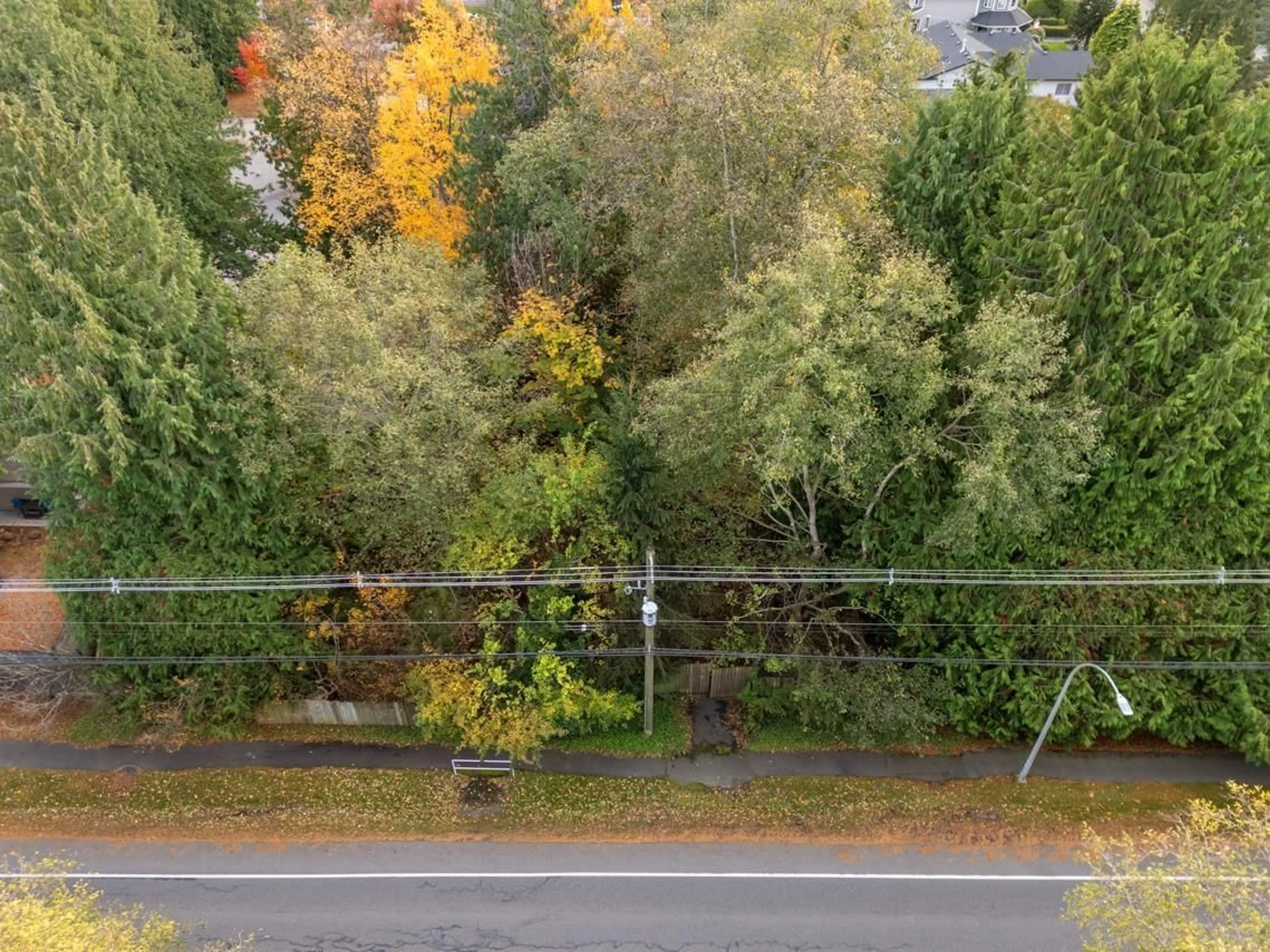 A pic from outside/outdoor area/front of a property/back of a property/a pic from drone, forest/trees view for 13317 15B, Surrey British Columbia V4A6C8