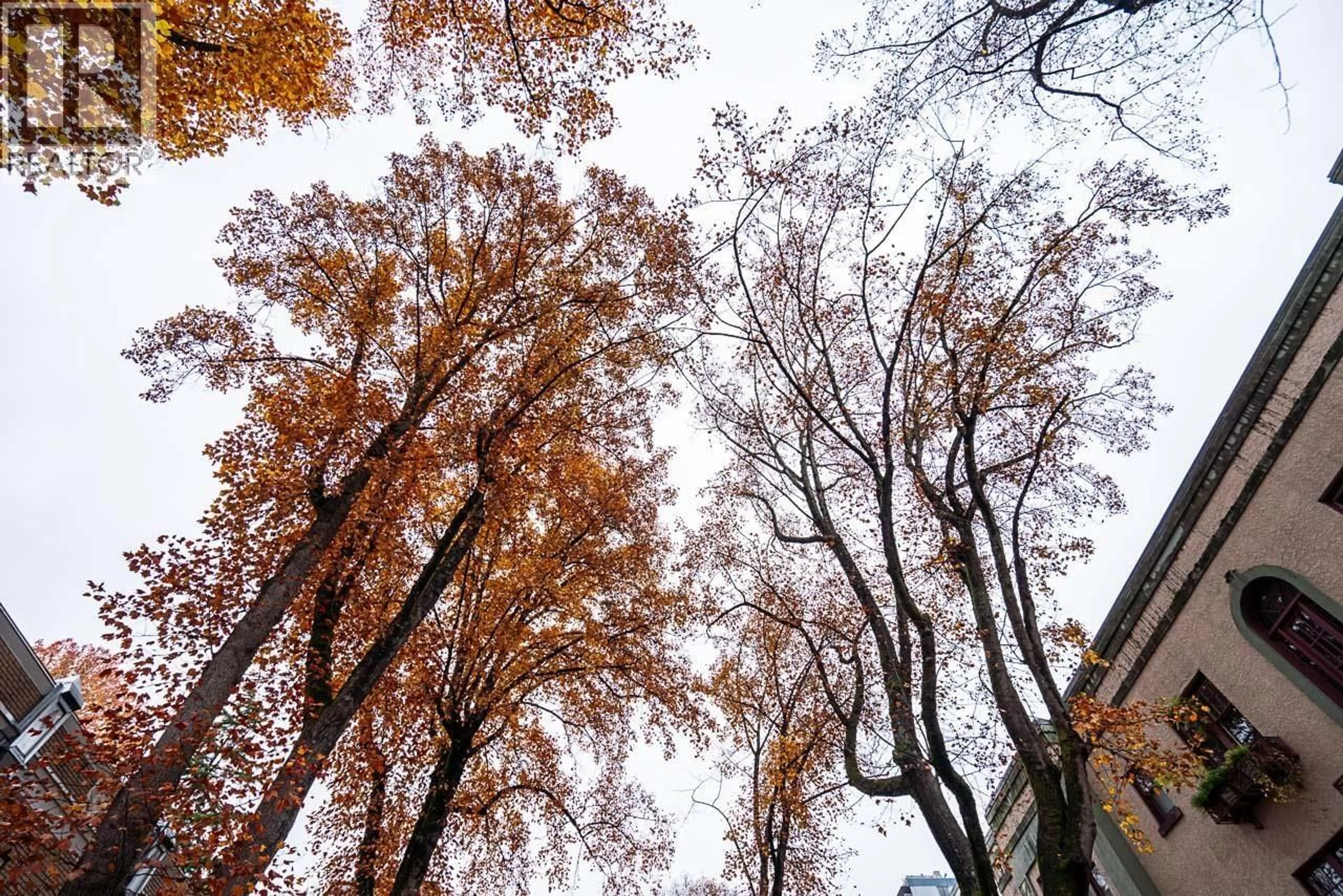 Blurry image for 302 - 936 BUTE STREET, Vancouver British Columbia V6E1Y8