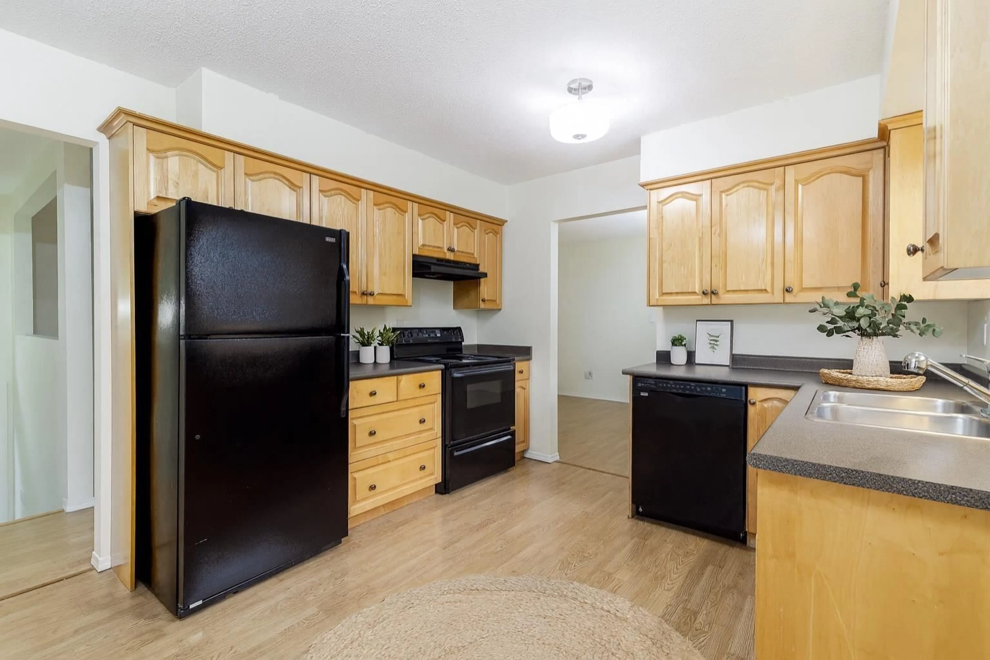 Standard kitchen, unknown for 22814 88, Langley British Columbia V1M2S3