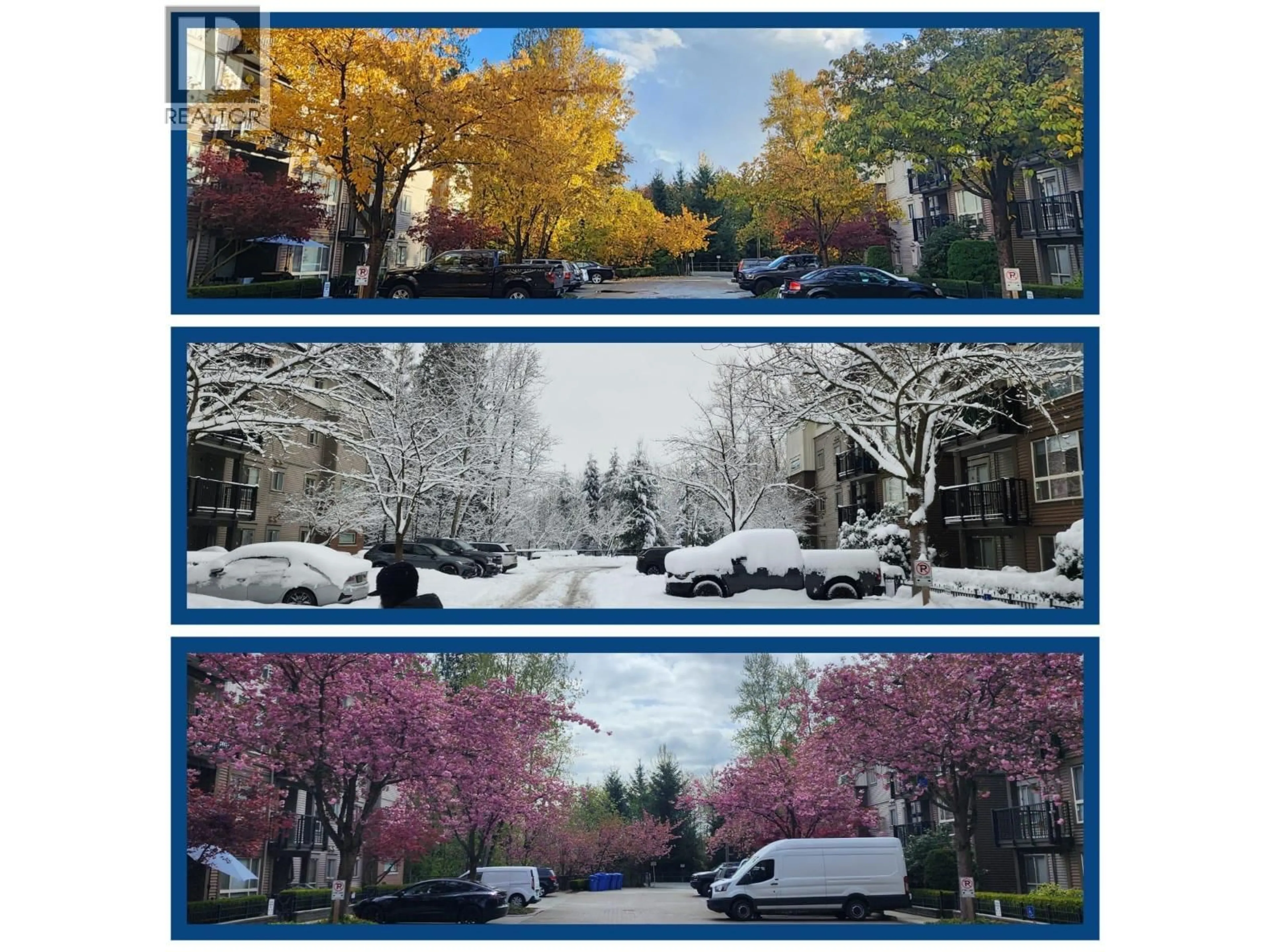 Parking for 101 - 11665 HANEY, Maple Ridge British Columbia V2X8W9