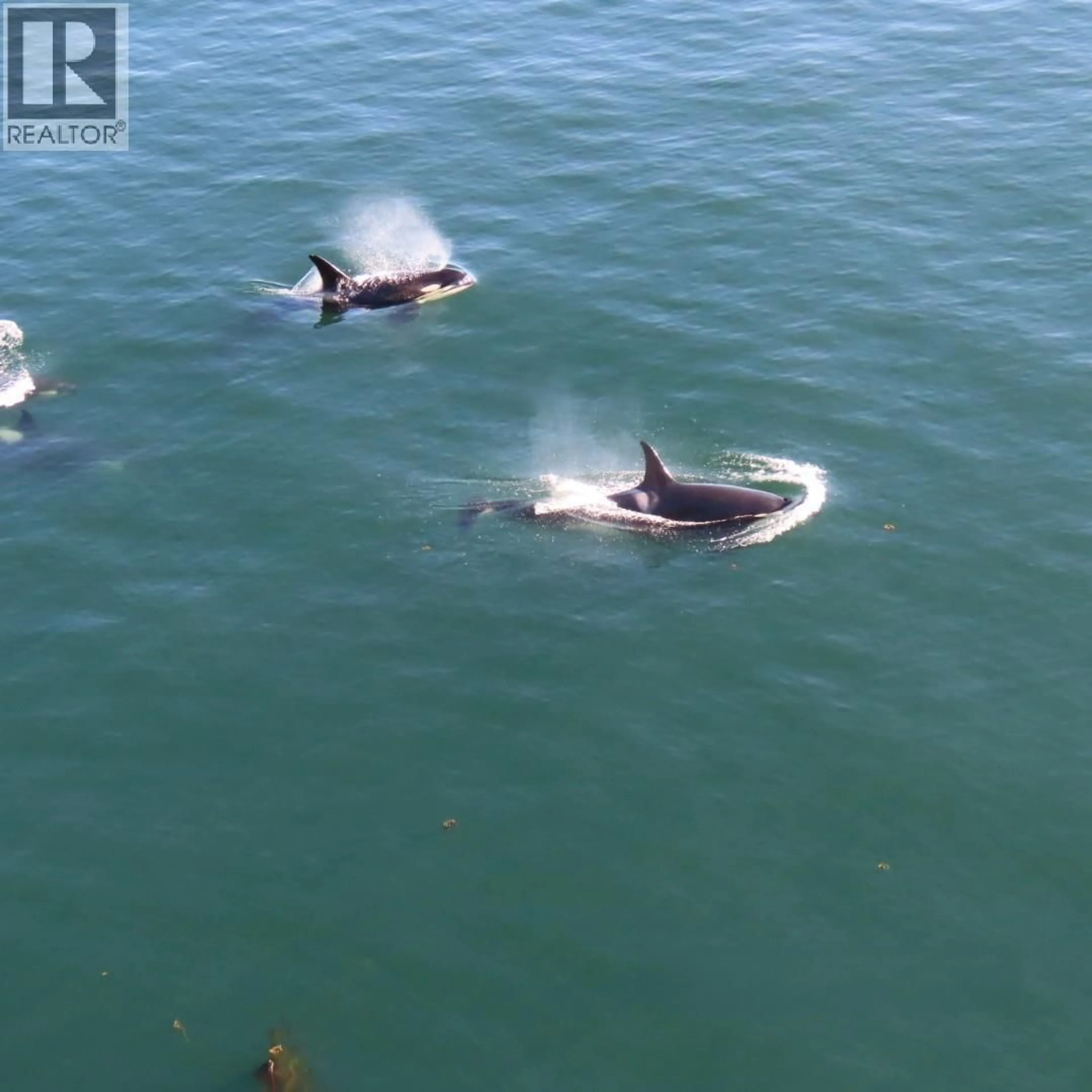 Blurry image for 37189 SCHOONER WAY, Pender Island British Columbia V0N2M2