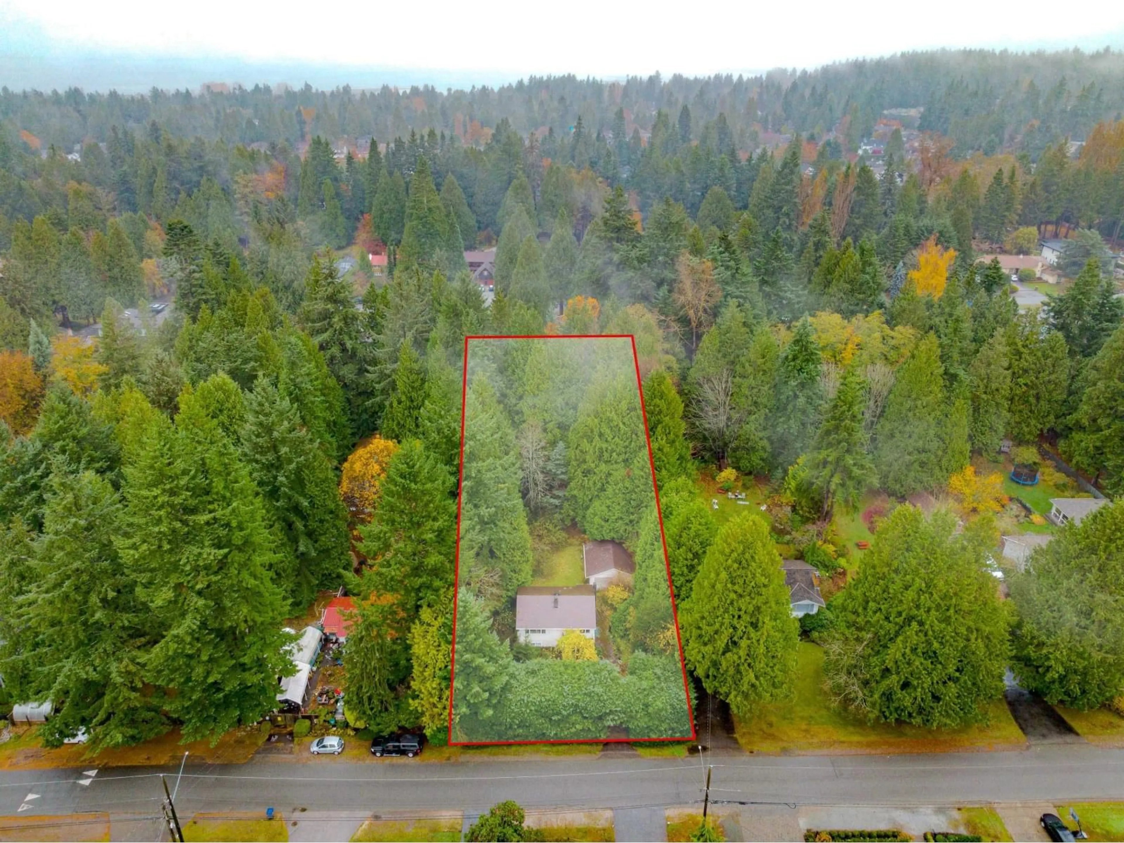 A pic from outside/outdoor area/front of a property/back of a property/a pic from drone, forest/trees view for 12665 22, Surrey British Columbia V4A2B9