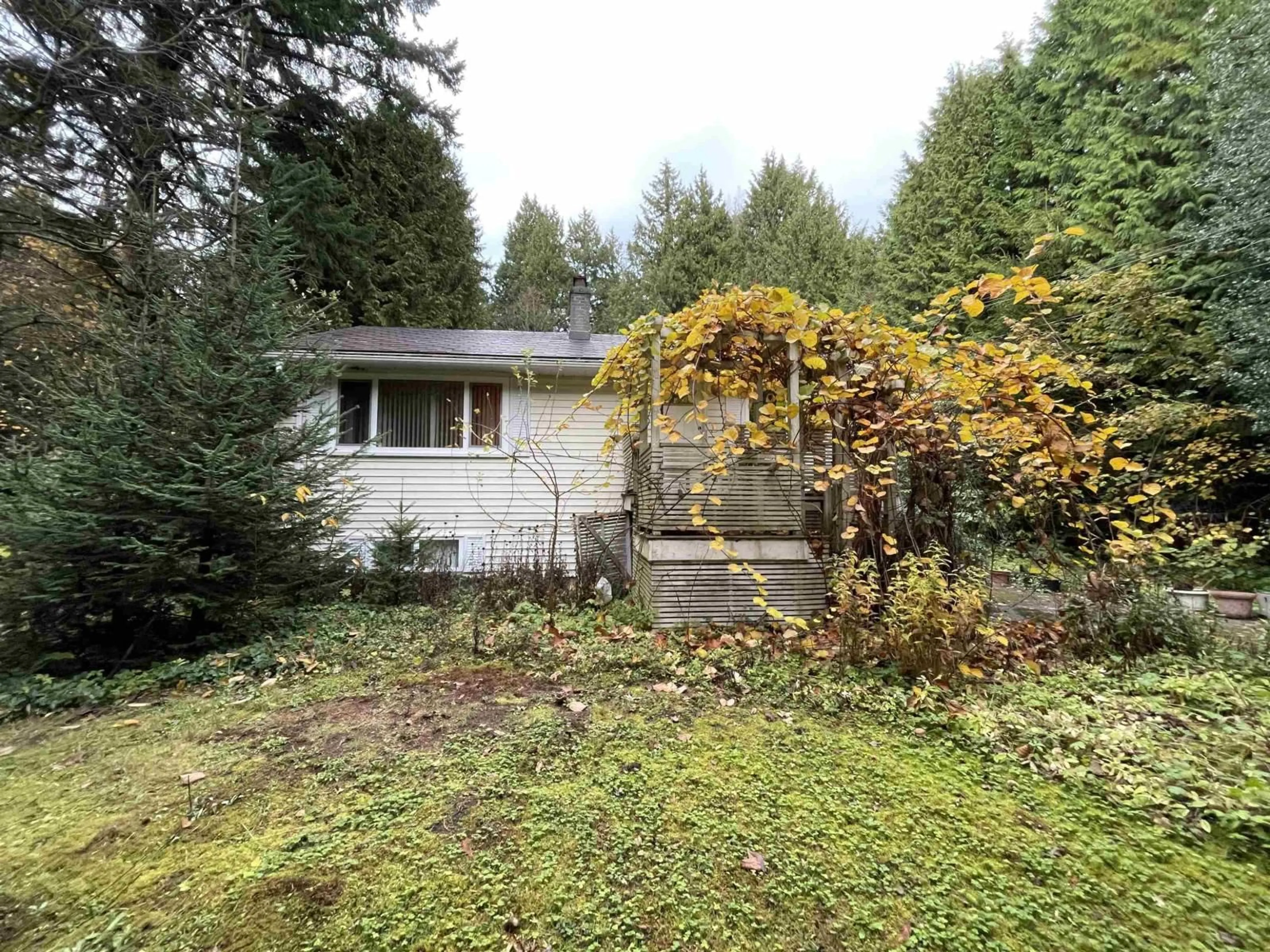 A pic from outside/outdoor area/front of a property/back of a property/a pic from drone, forest/trees view for 12665 22, Surrey British Columbia V4A2B9