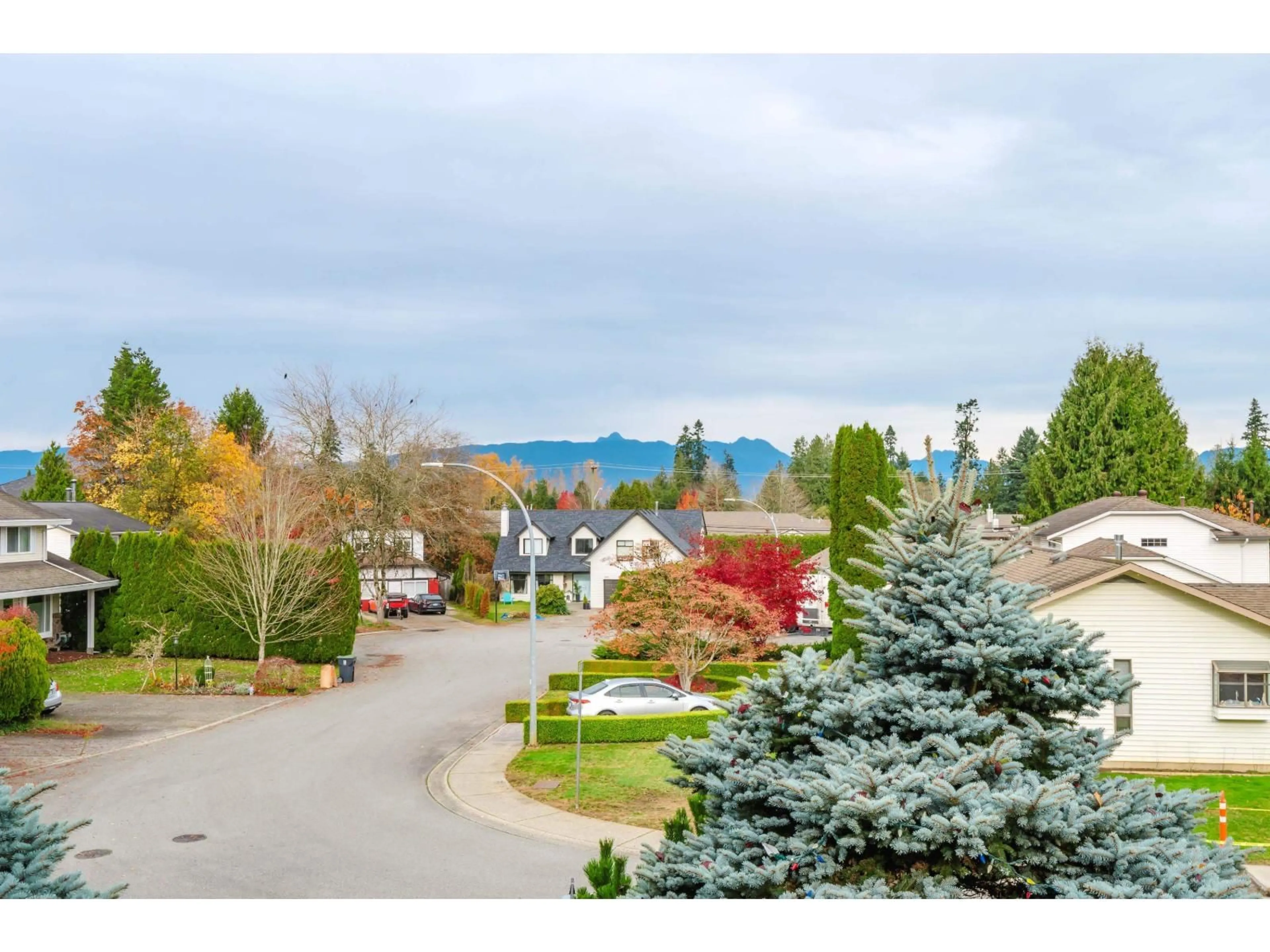 A pic from outside/outdoor area/front of a property/back of a property/a pic from drone, mountain view for 20464 95A, Langley British Columbia V1M1H5