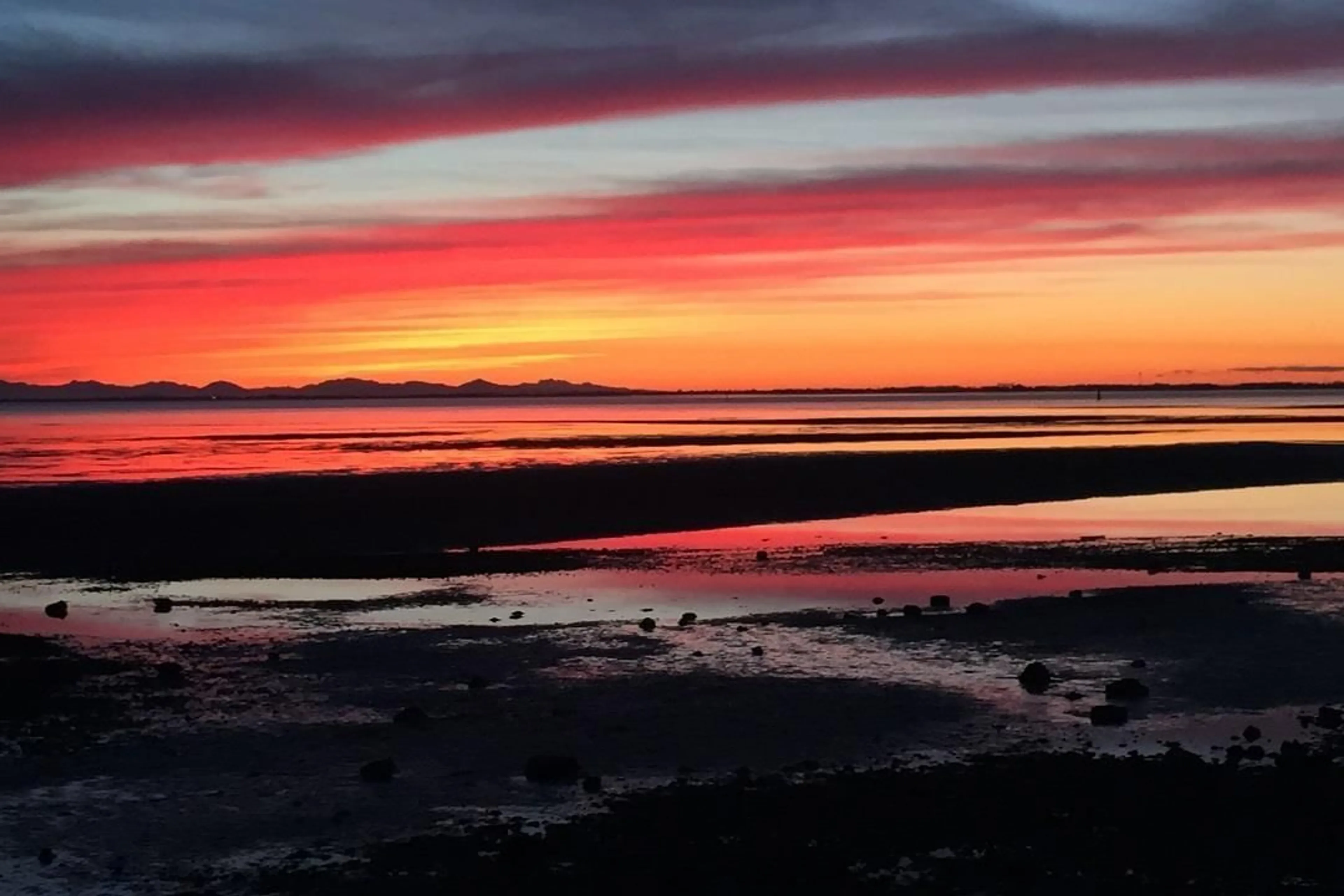 Blurry image for 12503 28 AVENUE, Surrey British Columbia V4A2N8