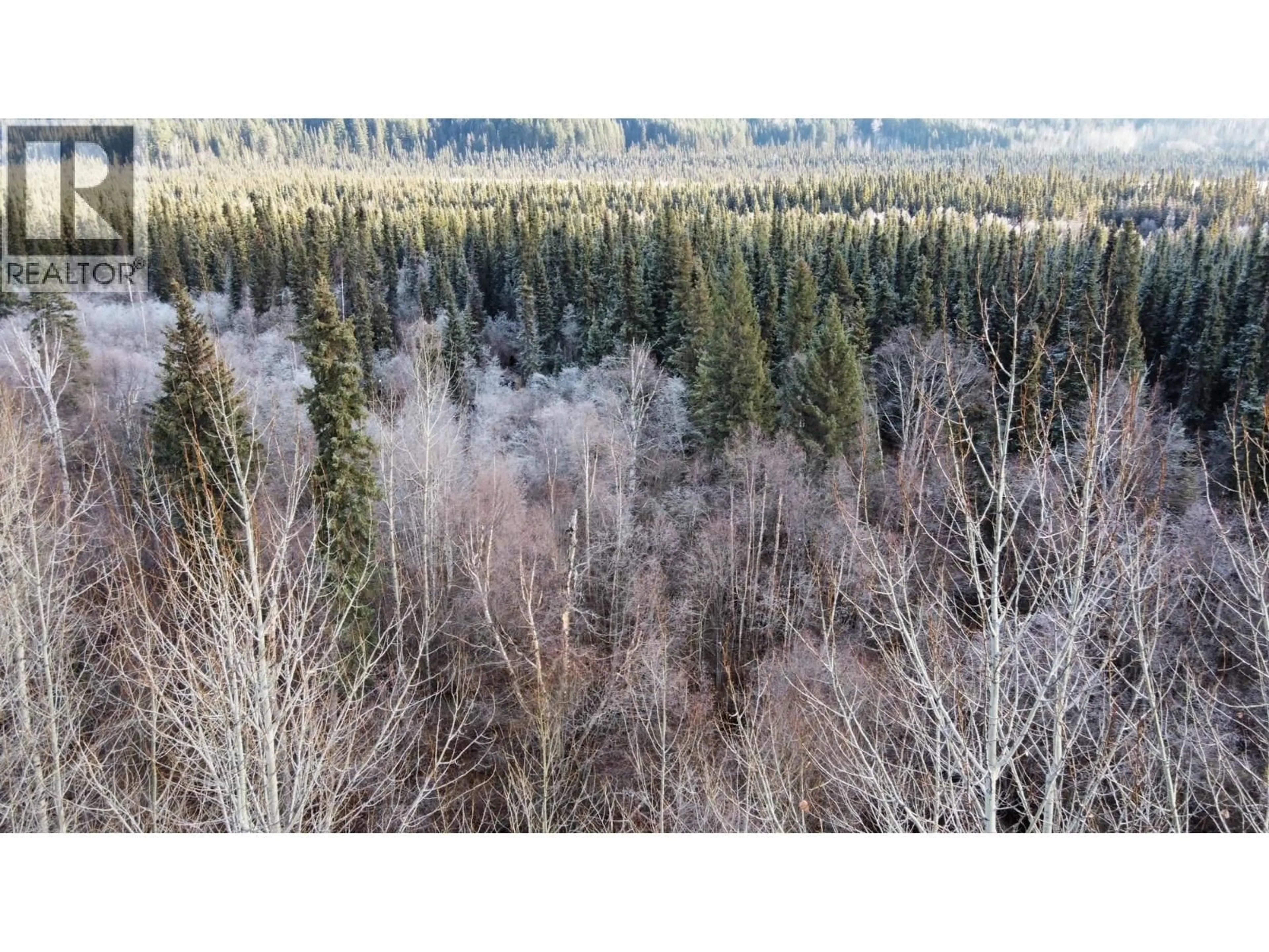 A pic from outside/outdoor area/front of a property/back of a property/a pic from drone, forest/trees view for 43378 97 HIGHWAY, Quesnel British Columbia V2J6X5