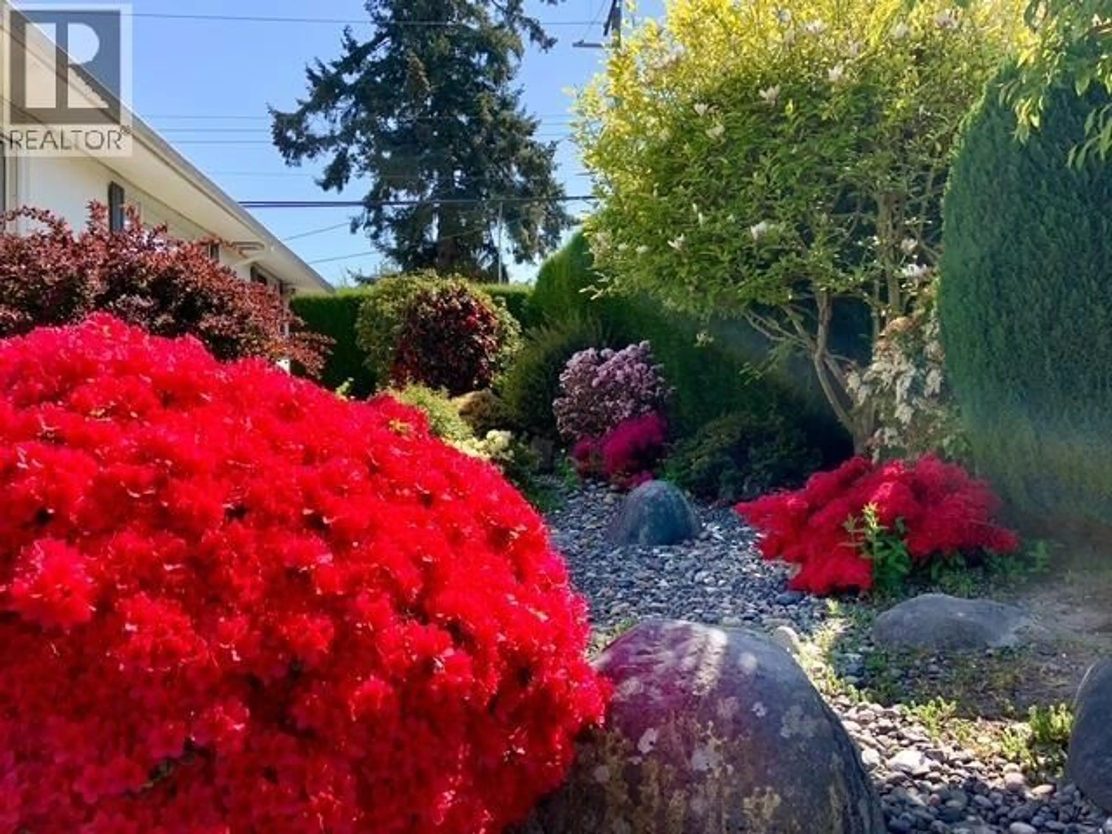 A pic from outside/outdoor area/front of a property/back of a property/a pic from drone, street for 10880 SOUTHRIDGE ROAD, Richmond British Columbia V7A2X4