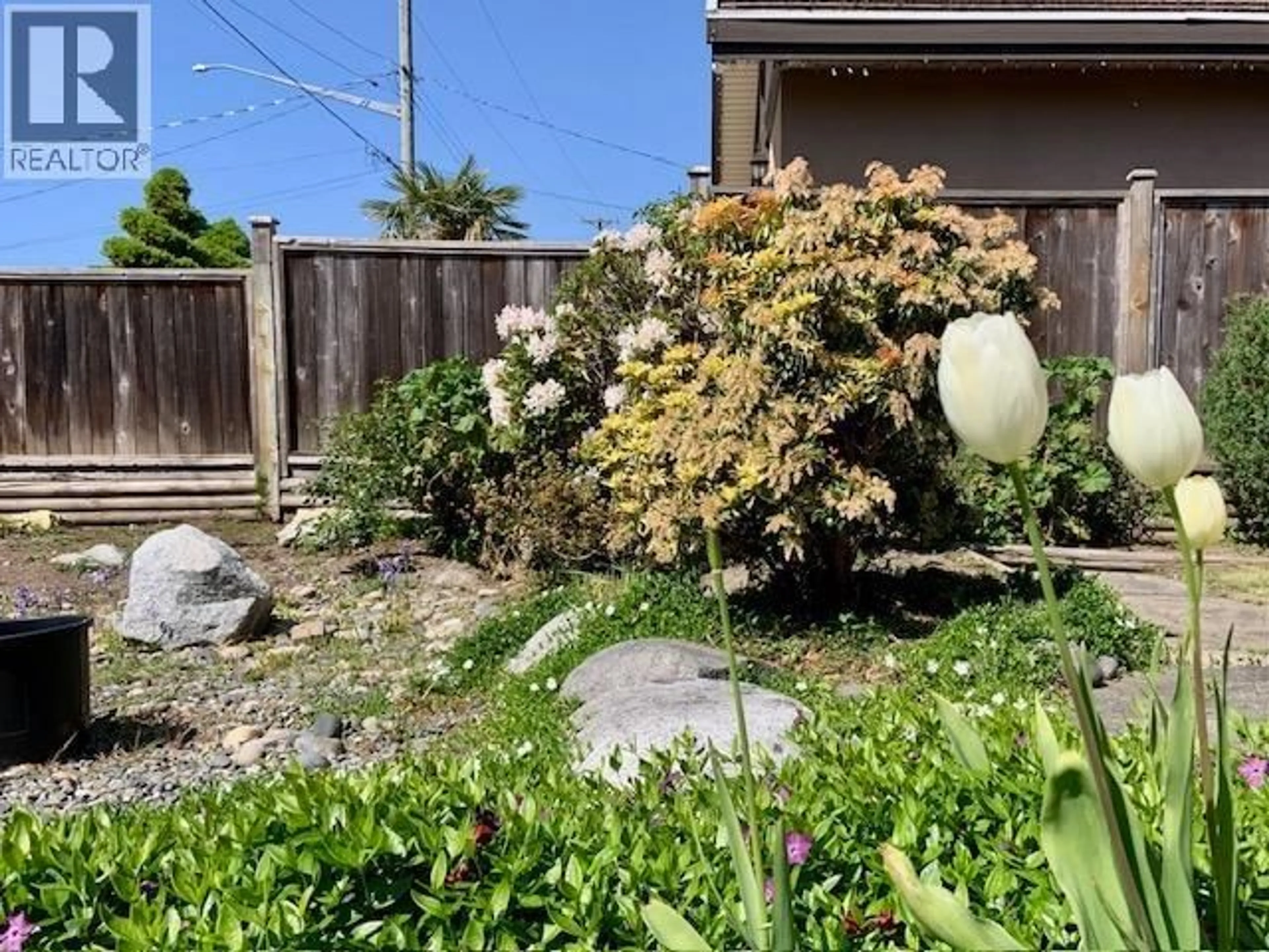 A pic from outside/outdoor area/front of a property/back of a property/a pic from drone, street for 10880 SOUTHRIDGE ROAD, Richmond British Columbia V7A2X4