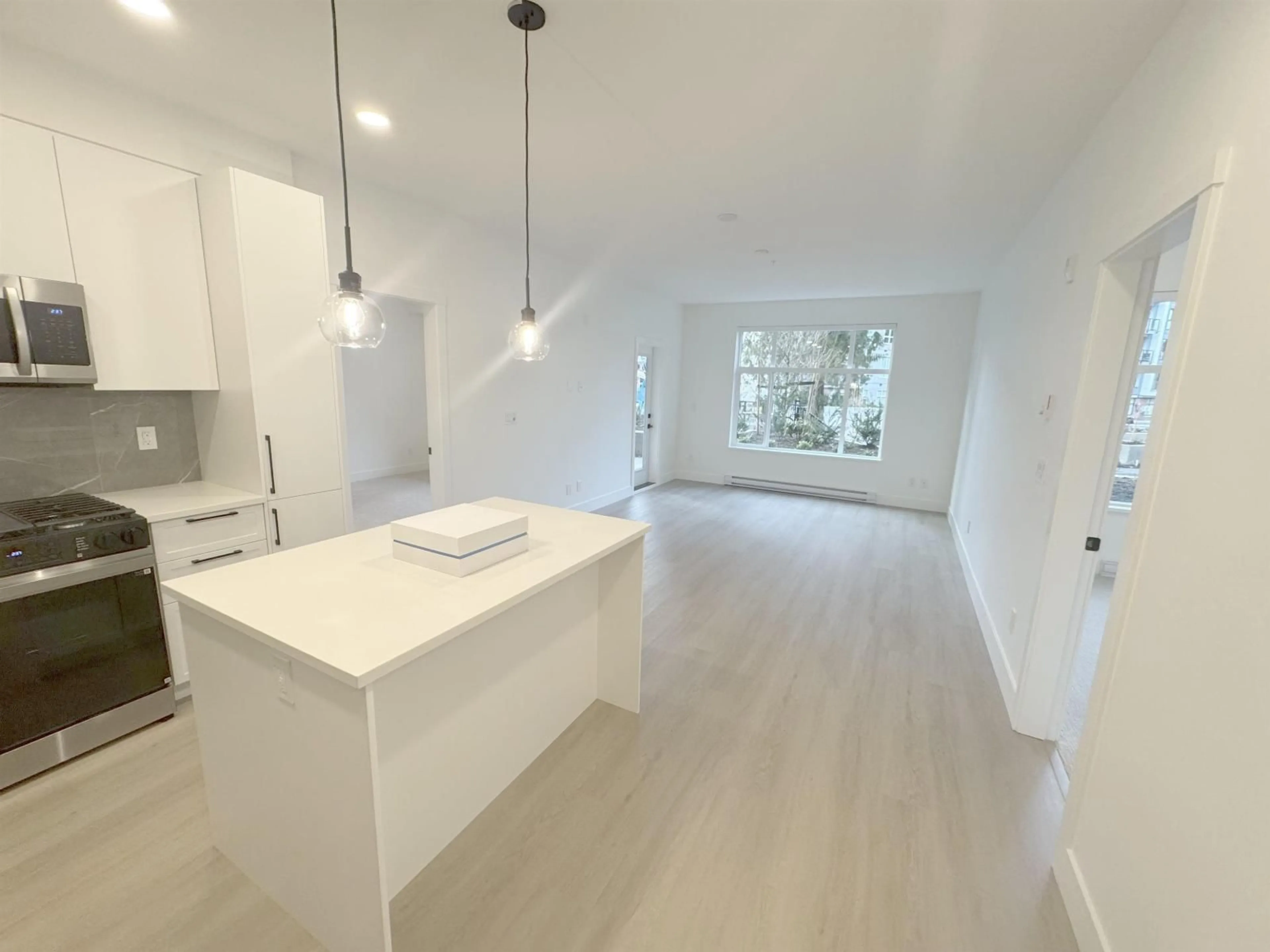 Open concept kitchen, unknown for 115 - 3480 146A STREET, Surrey British Columbia V4P0H6