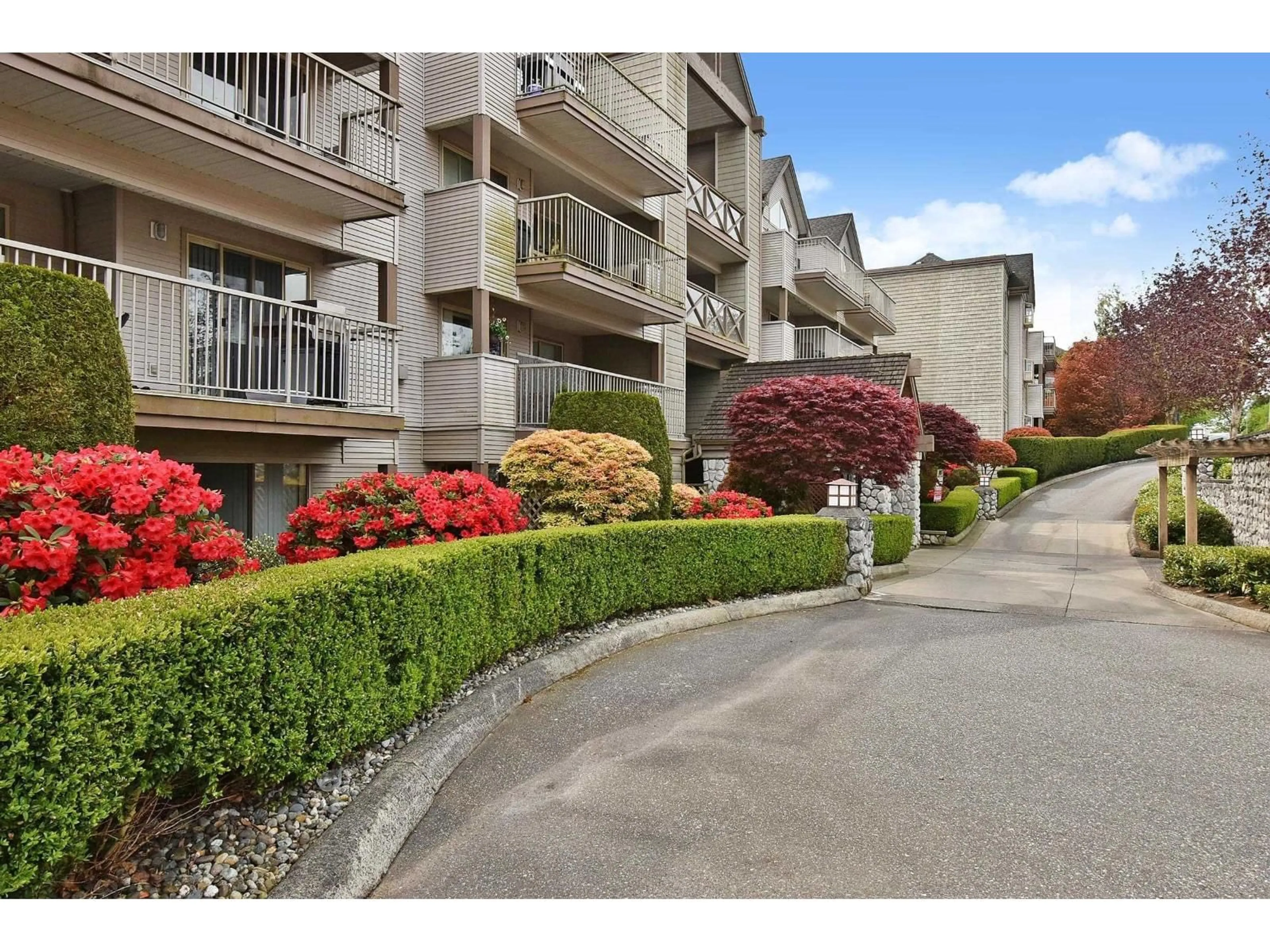 Patio, street for 204 - 33478 ROBERTS AVENUE, Abbotsford British Columbia V2S8E1