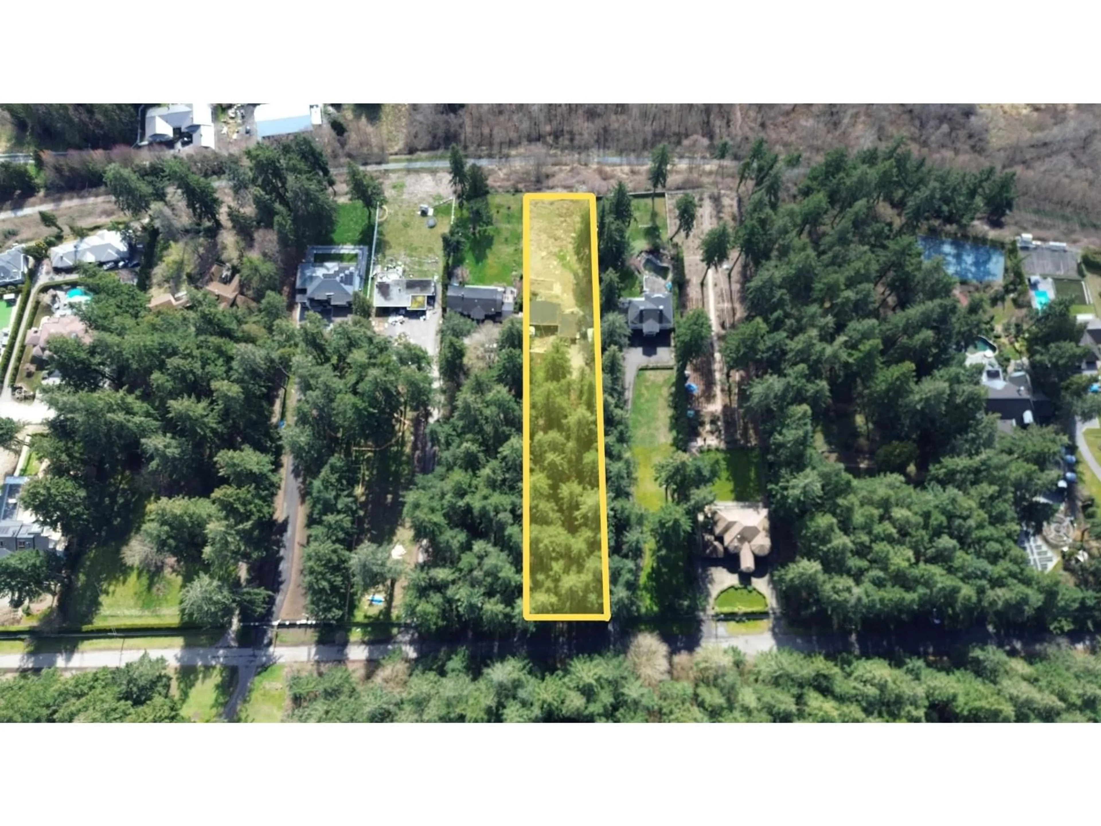 A pic from outside/outdoor area/front of a property/back of a property/a pic from drone, forest/trees view for 12422 53 AVENUE, Surrey British Columbia V3X3B7
