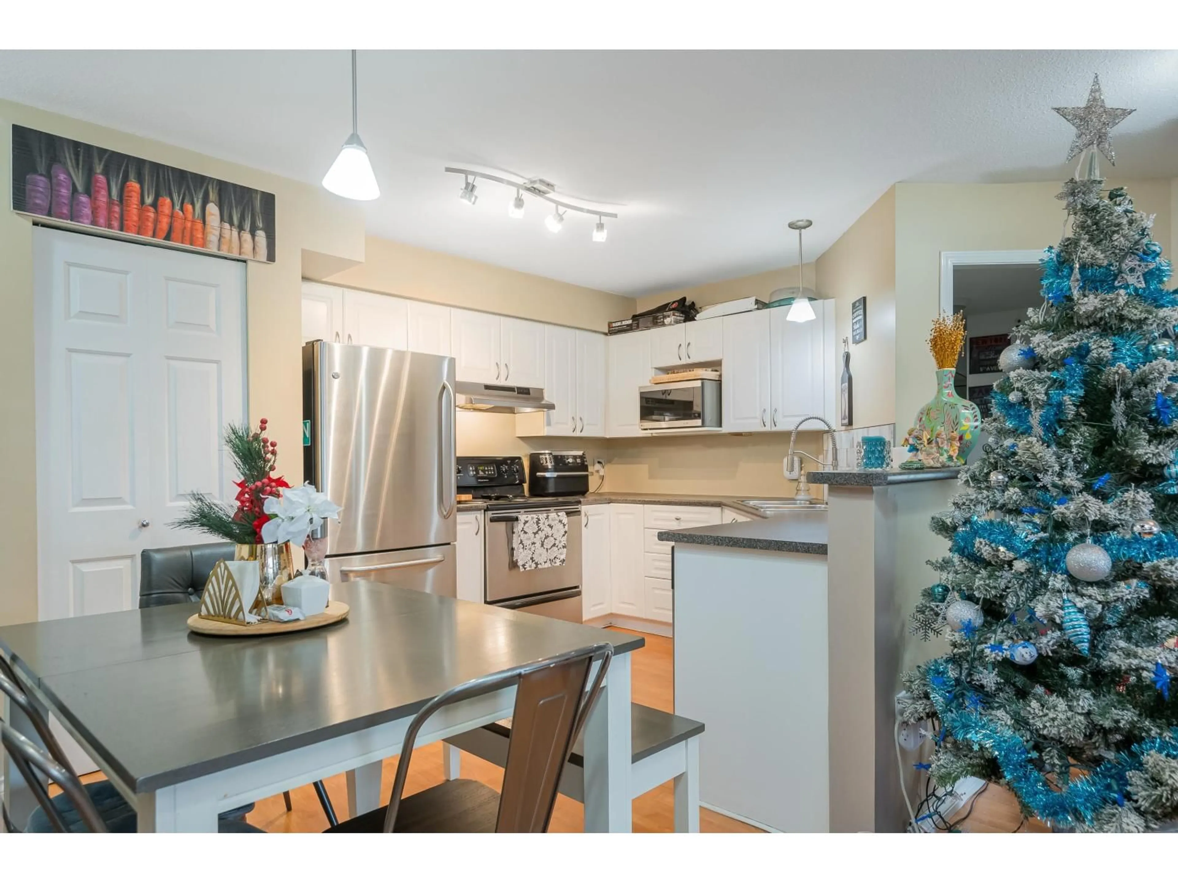 Open concept kitchen, wood/laminate floor for 211 - 33599 2 AVENUE, Mission British Columbia V2V6J3