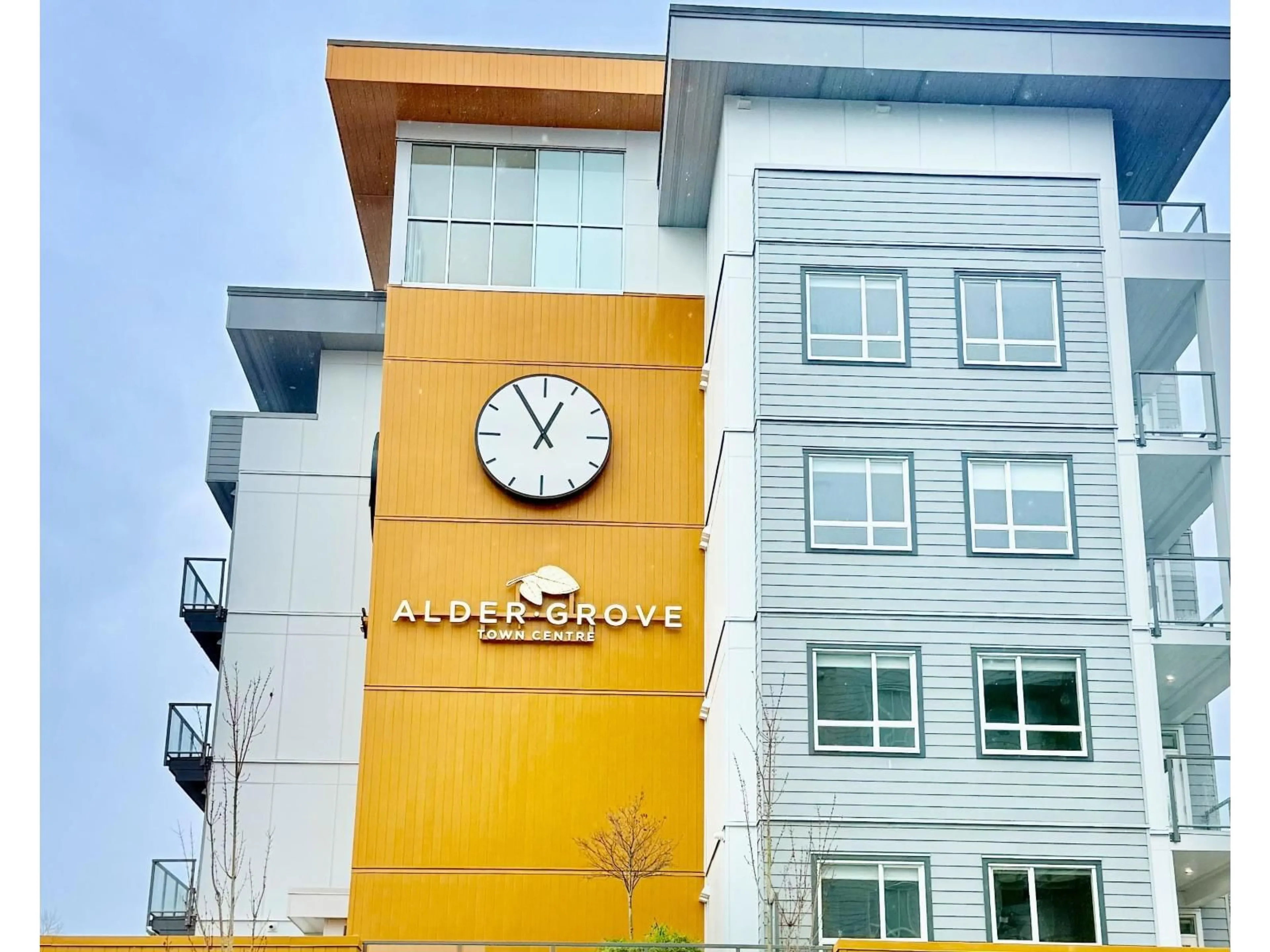 Indoor foyer for 301 - 27215 ALDERGROVE TOWN CENTRE DRIVE, Langley British Columbia V4W0E3