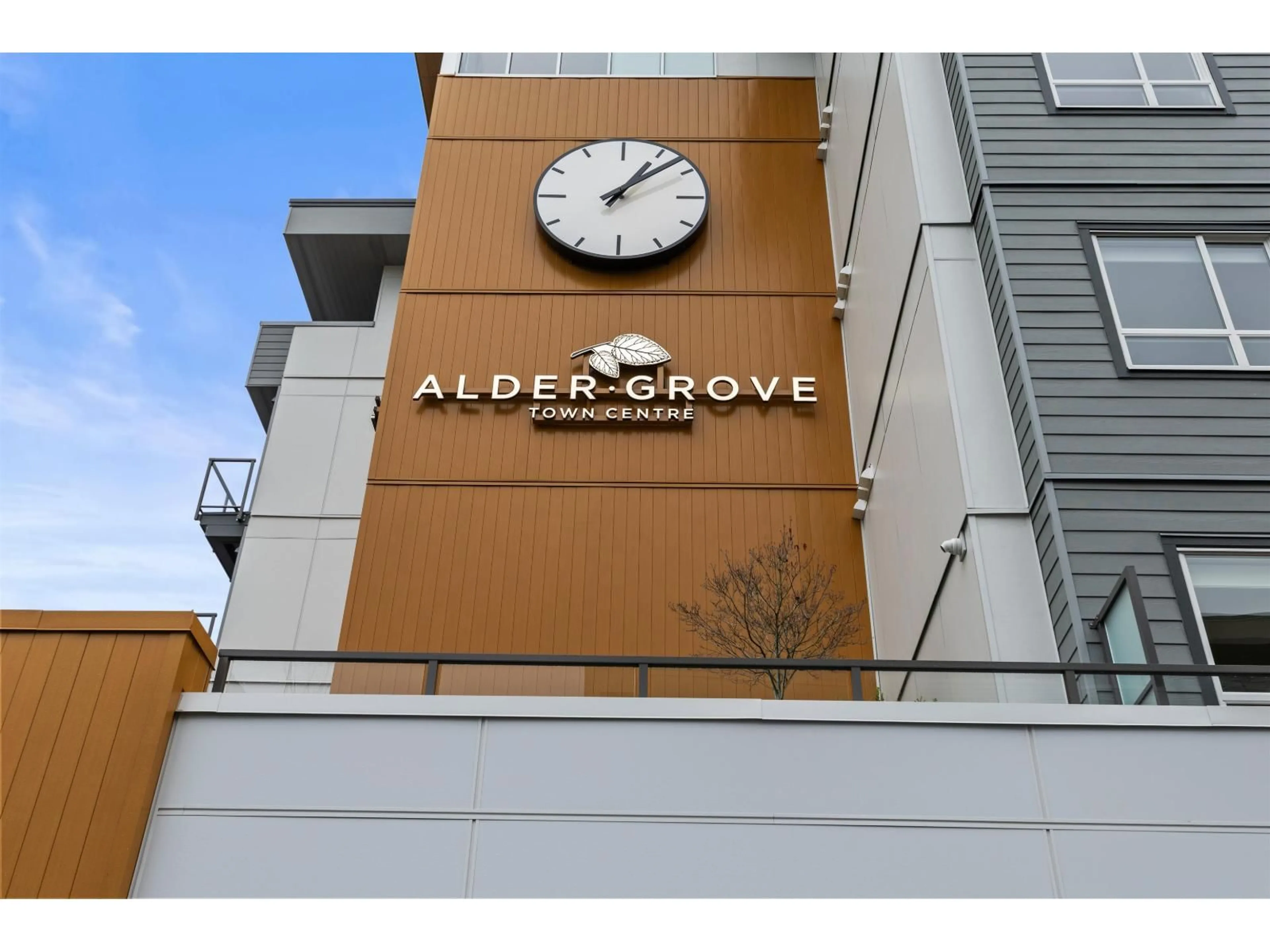 Indoor foyer for 308 - 27215 ALDERGROVE TOWN CENTRE DRIVE, Langley British Columbia V4W0E3