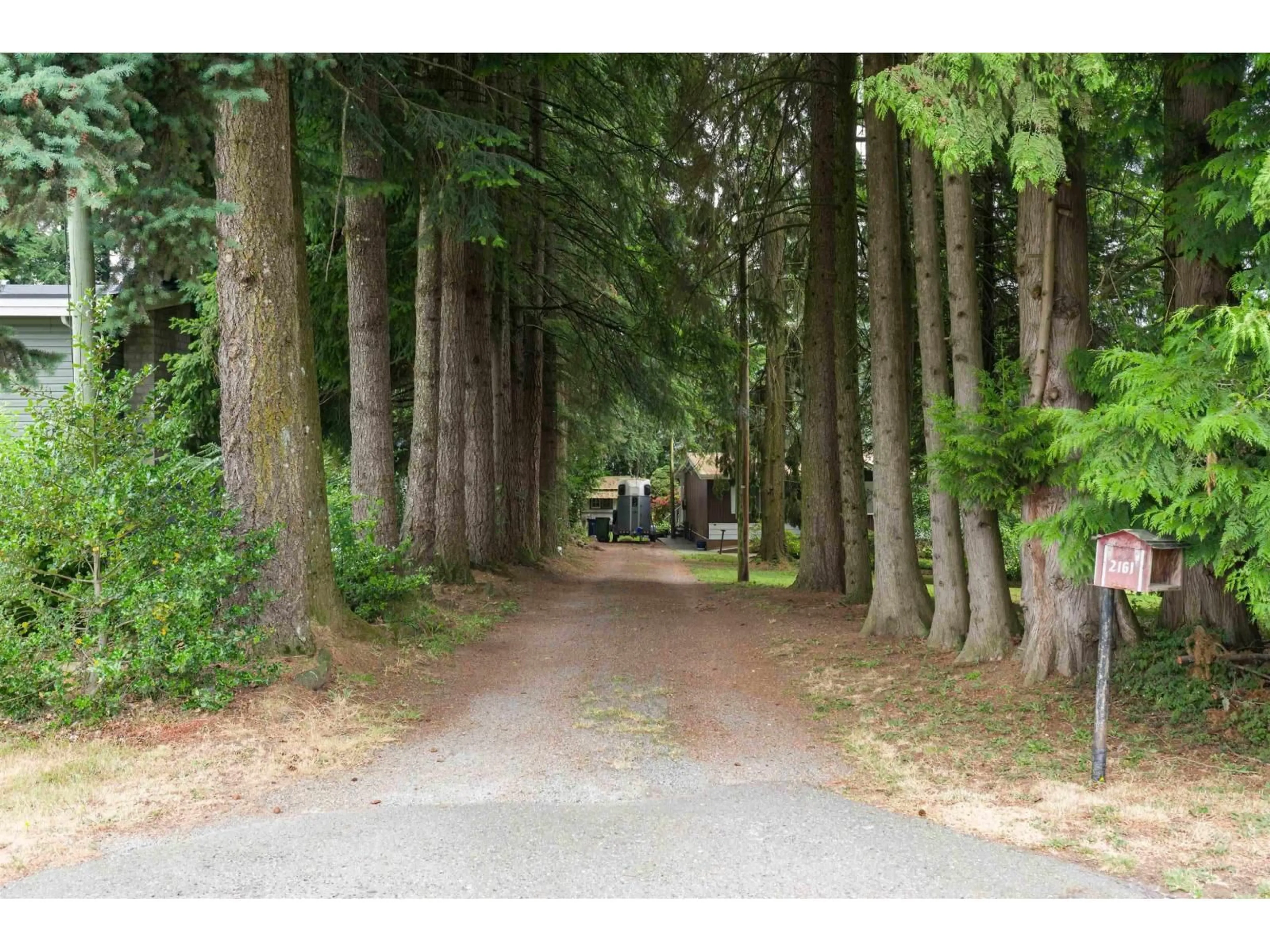 Blurry image for 2161 MARTENS STREET, Abbotsford British Columbia V2T6M6