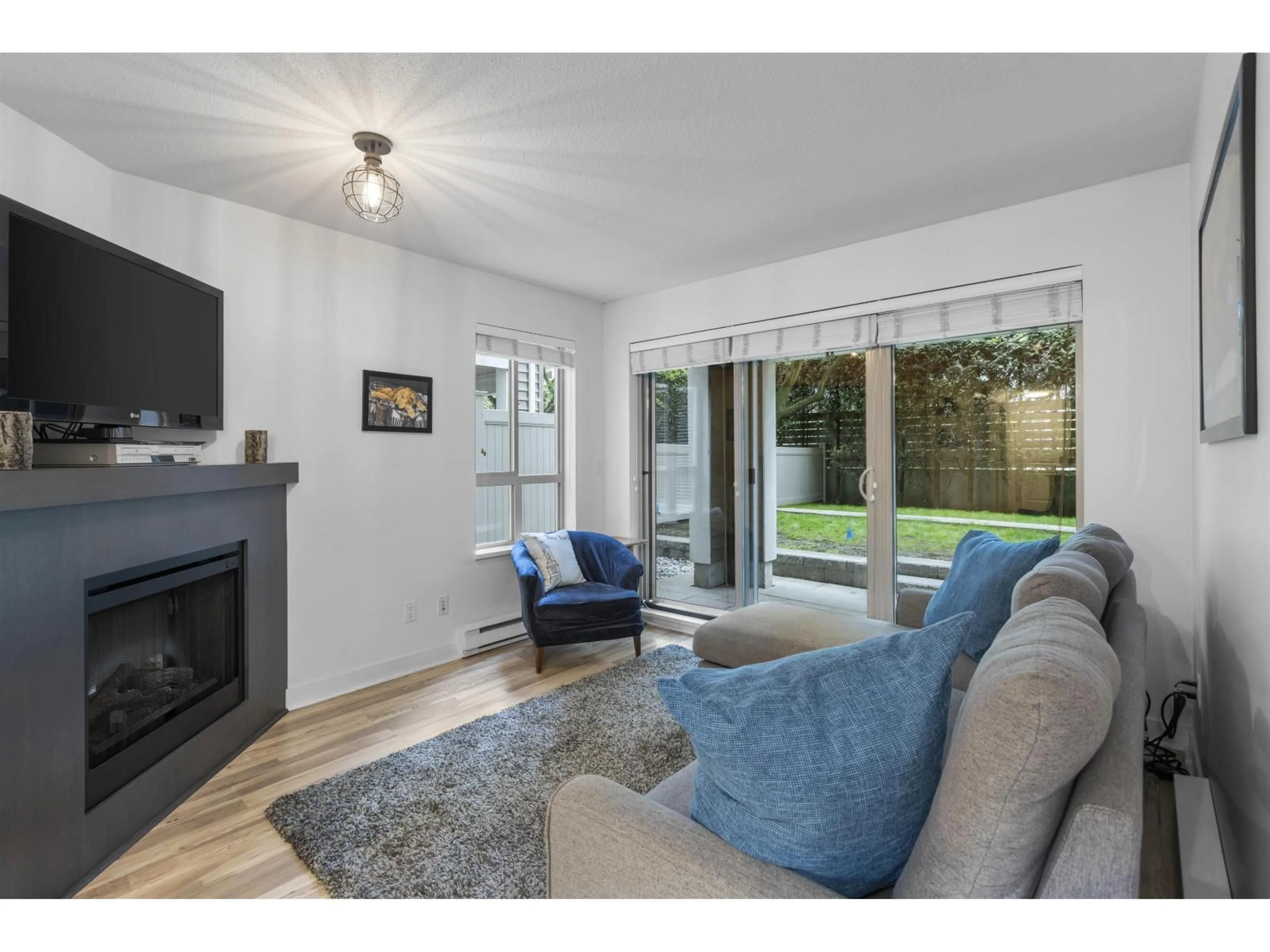 Living room with furniture, unknown for 119 - 8915 202 STREET, Langley British Columbia V1M0B5