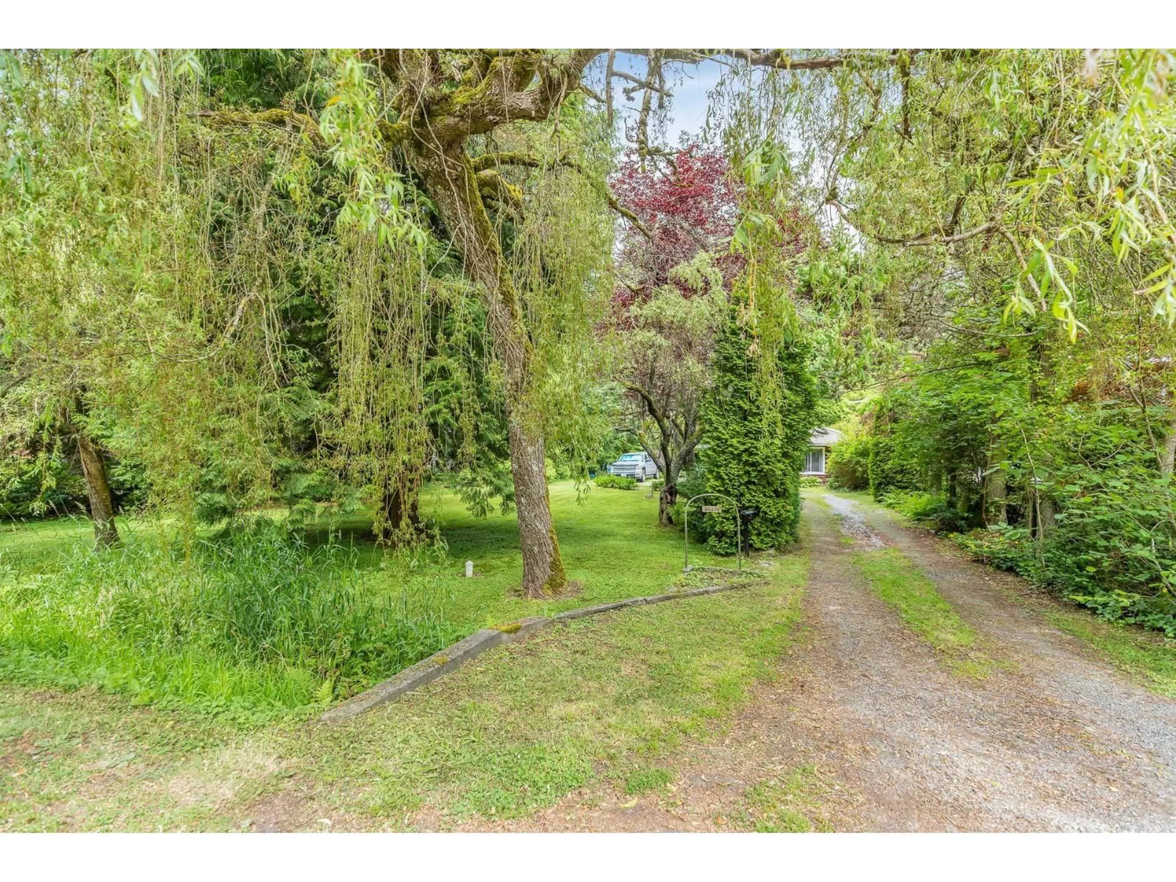 A pic from outside/outdoor area/front of a property/back of a property/a pic from drone, forest/trees view for 12587 23 AVENUE, Surrey British Columbia V4A2C5